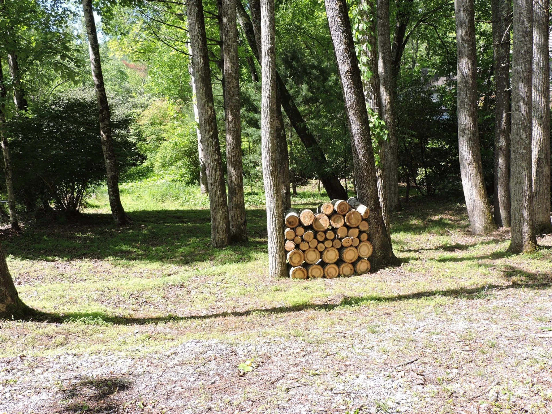 0 Swiss Pine Lake Drive - Photo 31