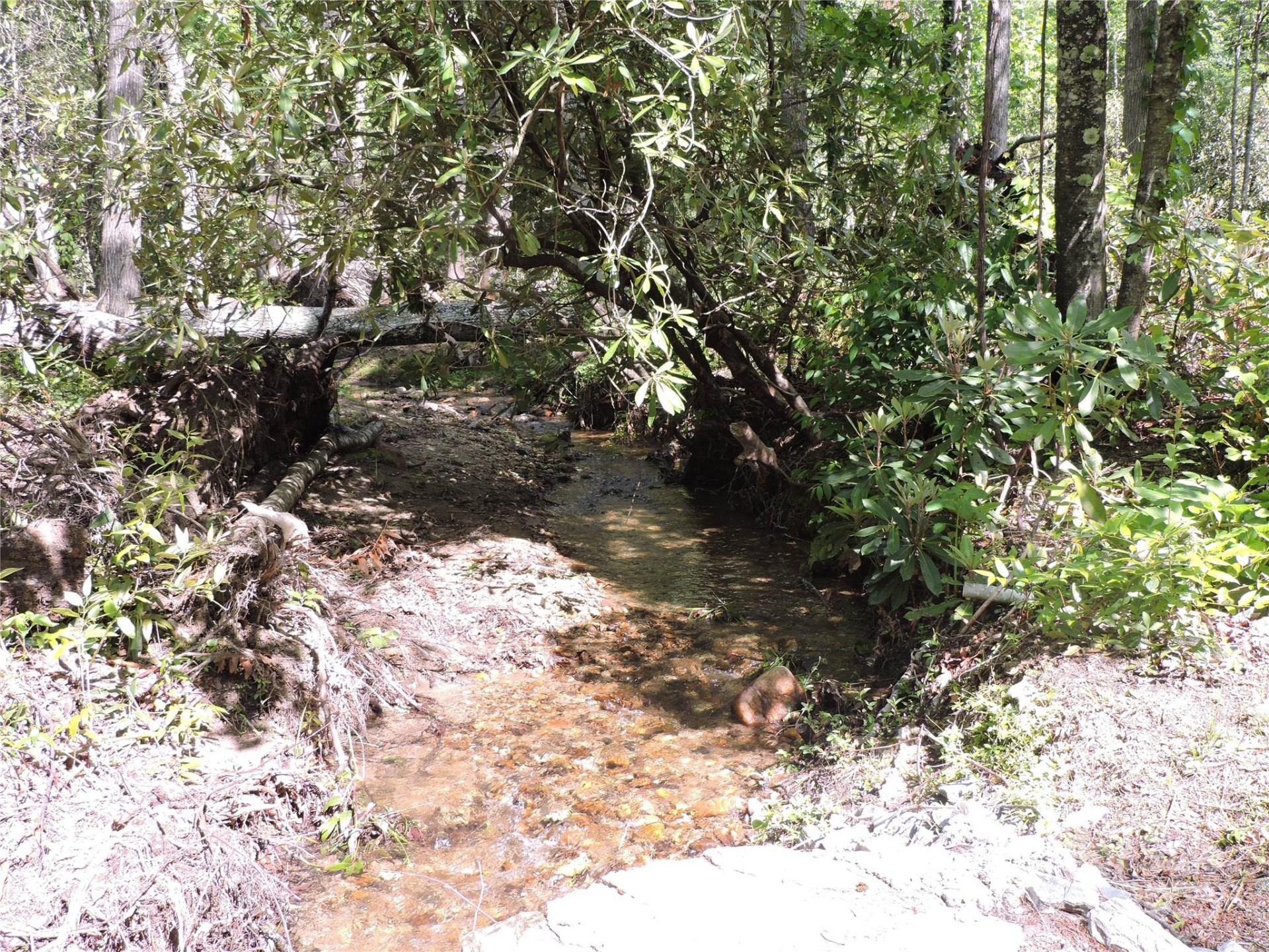 0 Swiss Pine Lake Drive - Photo 32