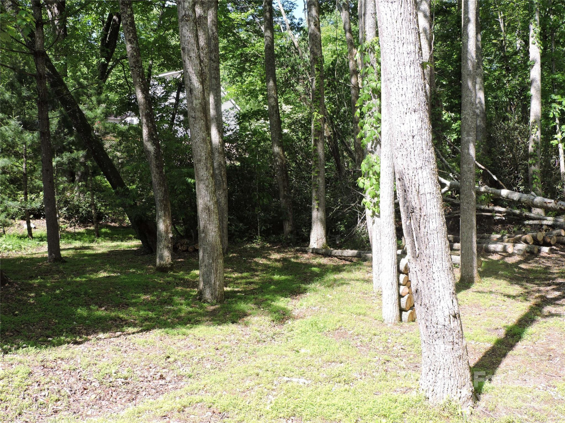 0 Swiss Pine Lake Drive - Photo 33