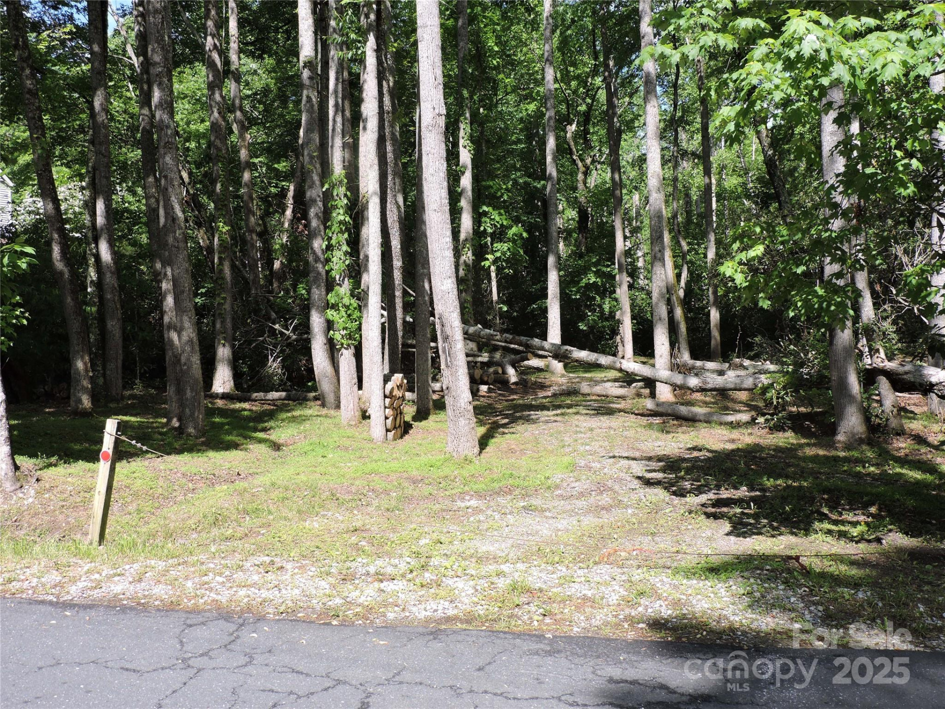 0 Swiss Pine Lake Drive - Photo 34