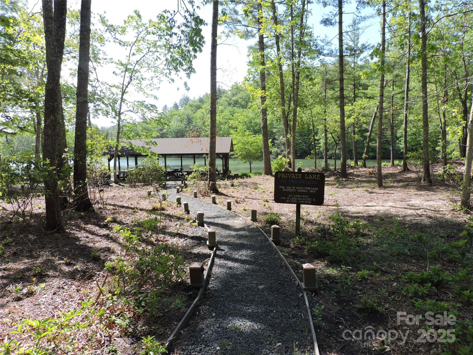 0 Swiss Pine Lake Drive - Photo 5