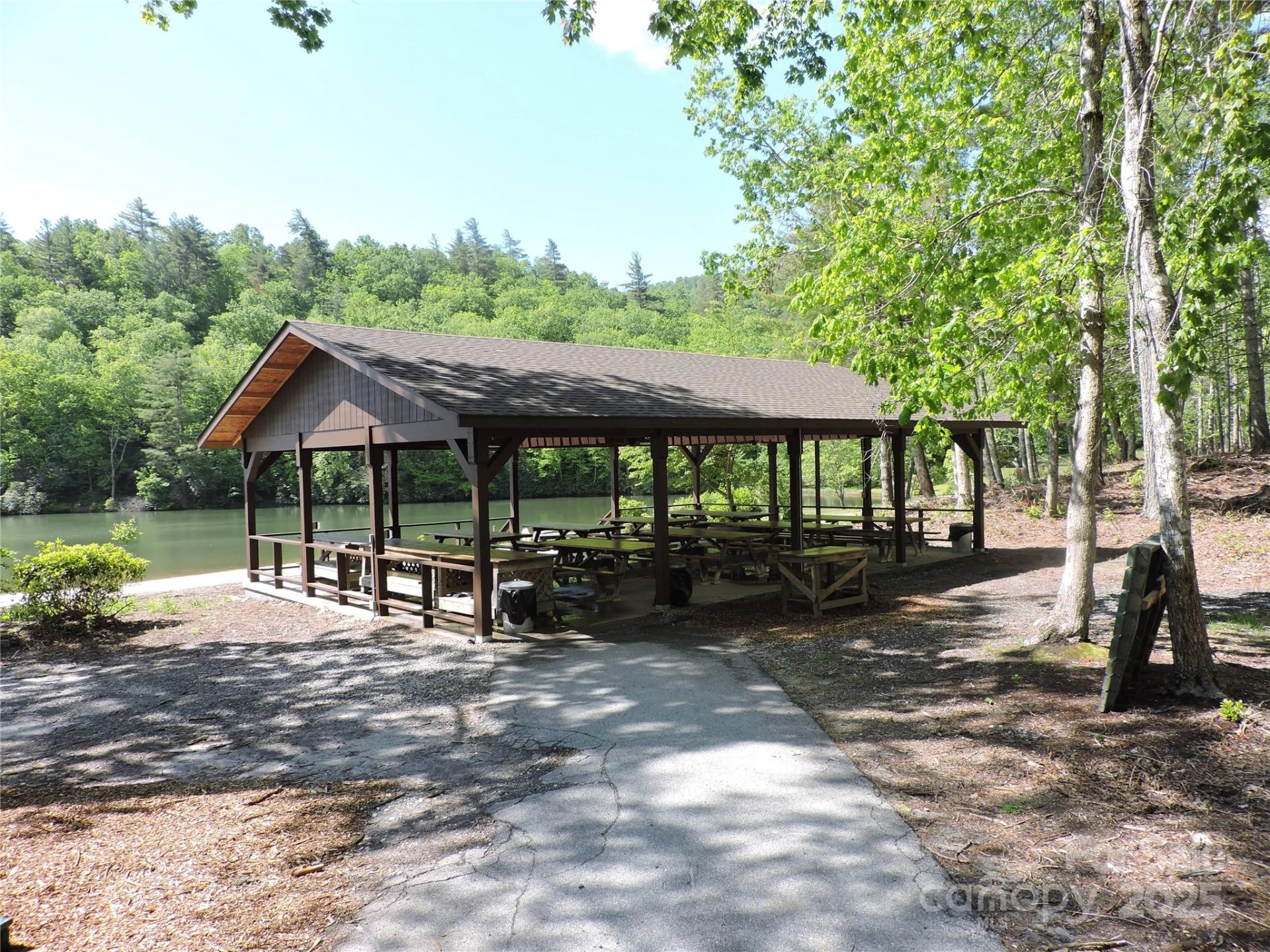 0 Swiss Pine Lake Drive - Photo 7