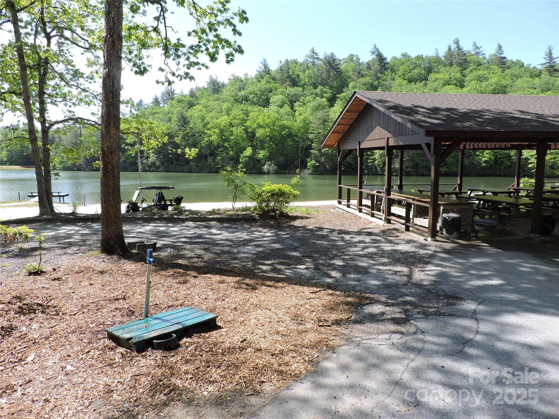 0 Swiss Pine Lake Drive - Photo 8