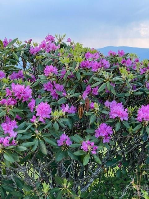 143 Daniel Boone Trail - Photo 24