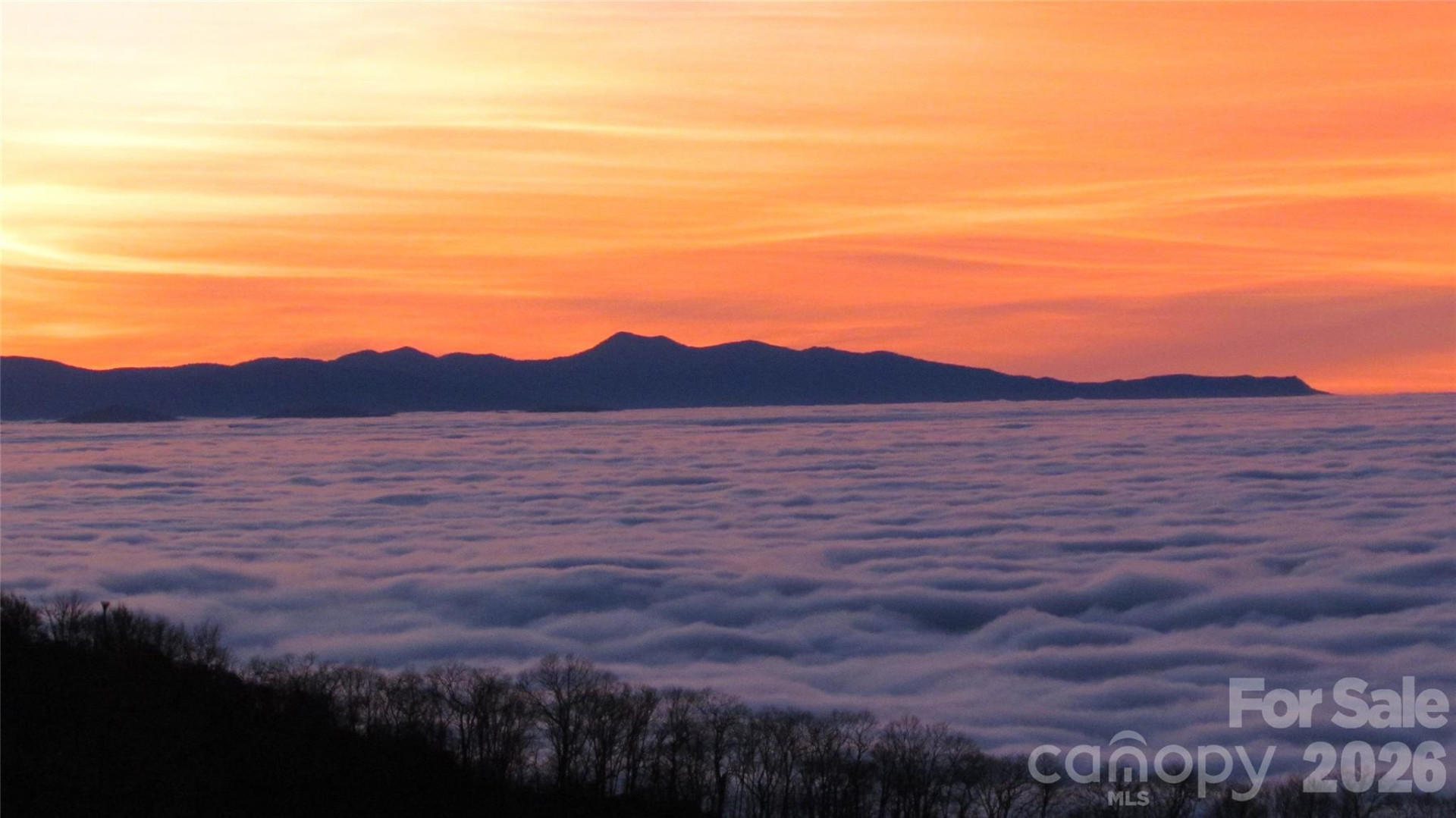 143 Daniel Boone Trail - Photo 26