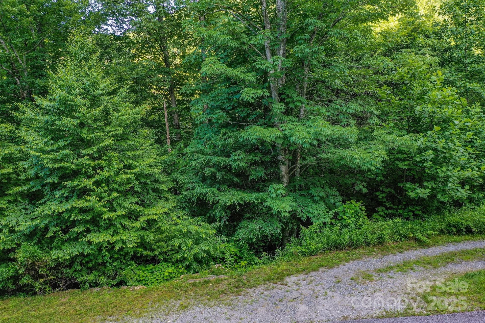 Lot 13 Hares Ear Lane #13 - Photo 2