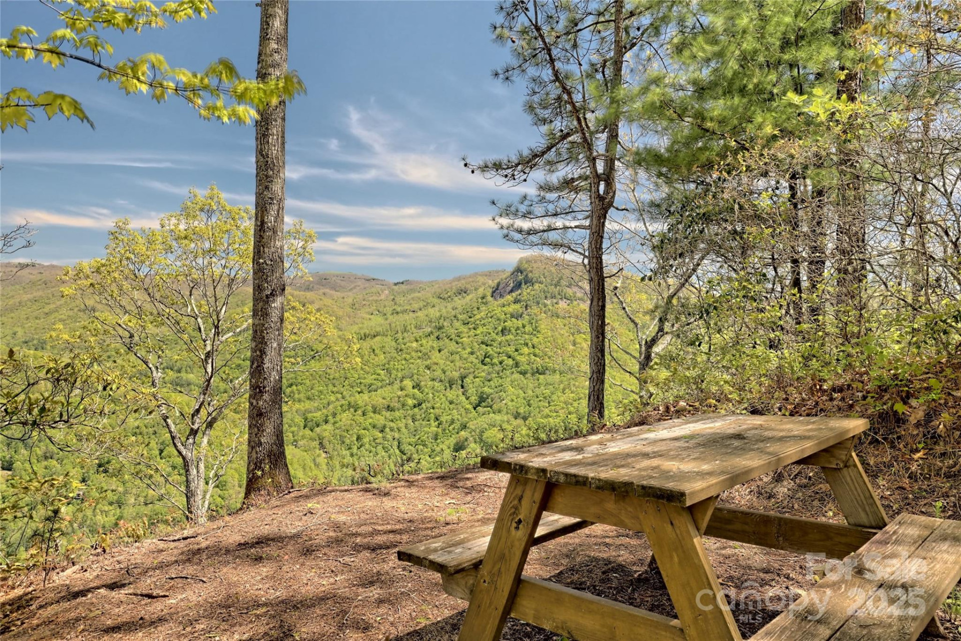 Lot 13 Hares Ear Lane #13 - Photo 20