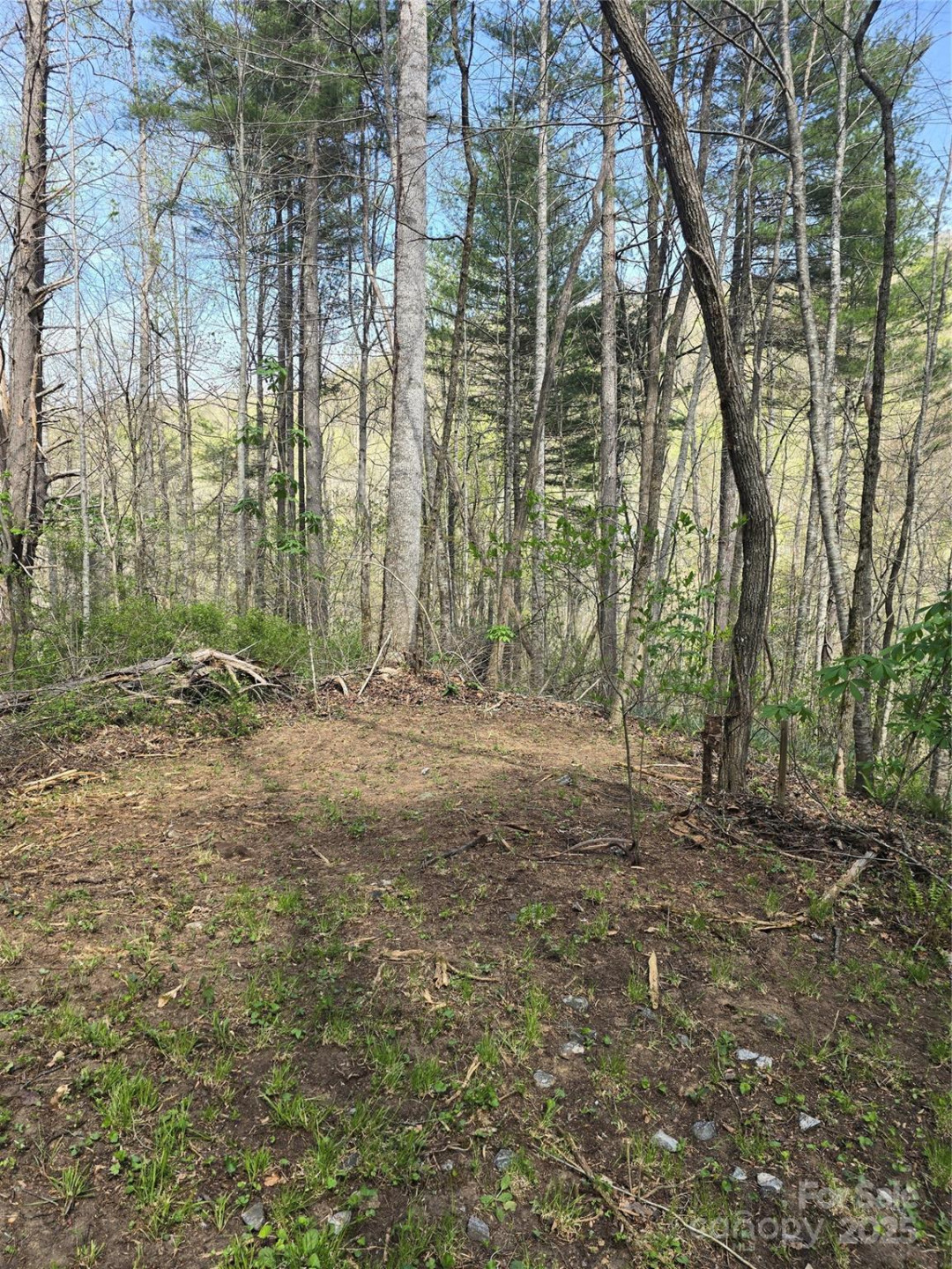 Lot 13 Hares Ear Lane #13 - Photo 21