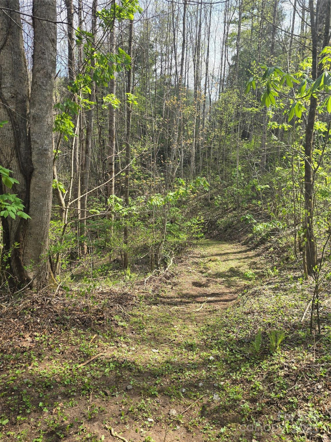 Lot 13 Hares Ear Lane #13 - Photo 22