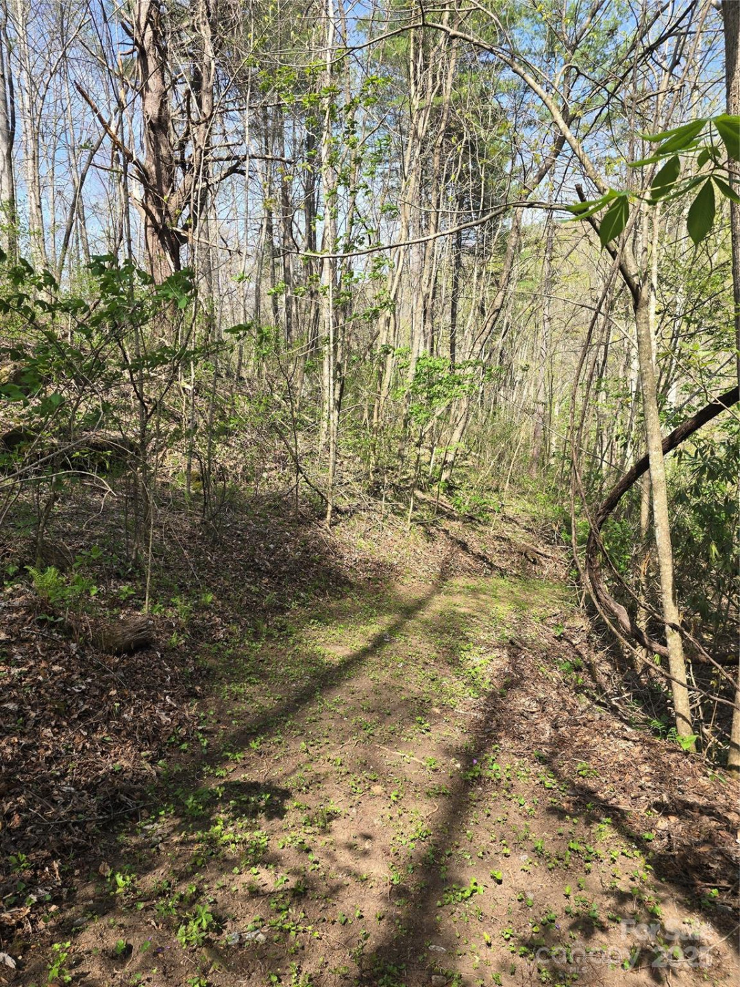 Lot 13 Hares Ear Lane #13 - Photo 23
