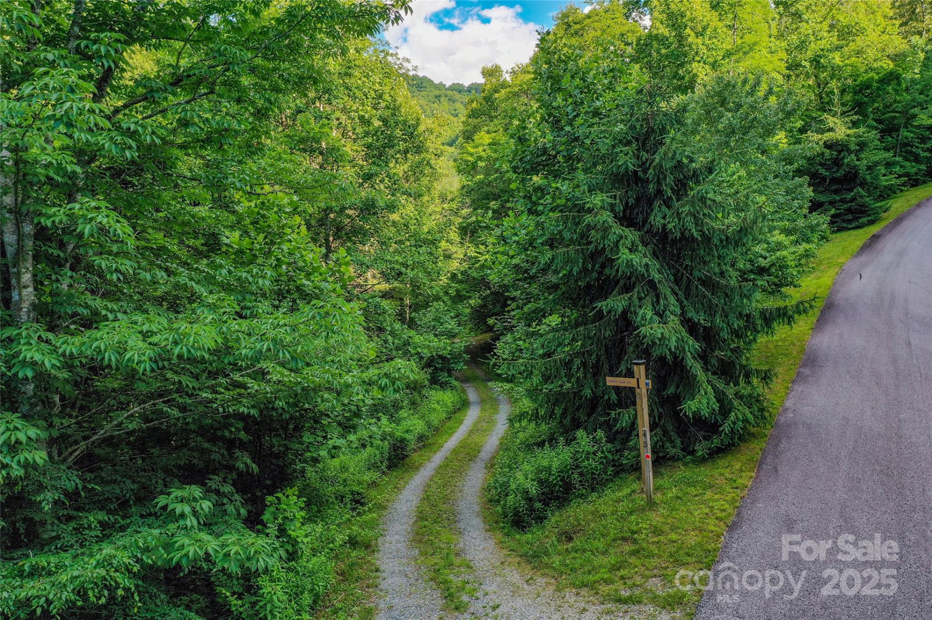 Lot 13 Hares Ear Lane #13 - Photo 6