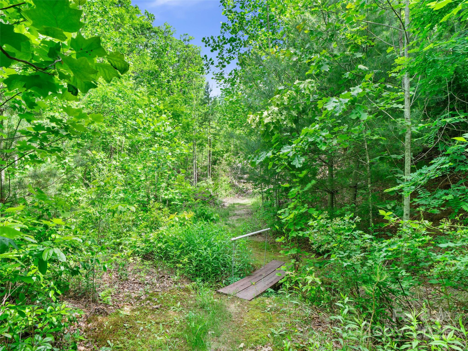 99999 Millbrae Loop #1601 - Photo 11