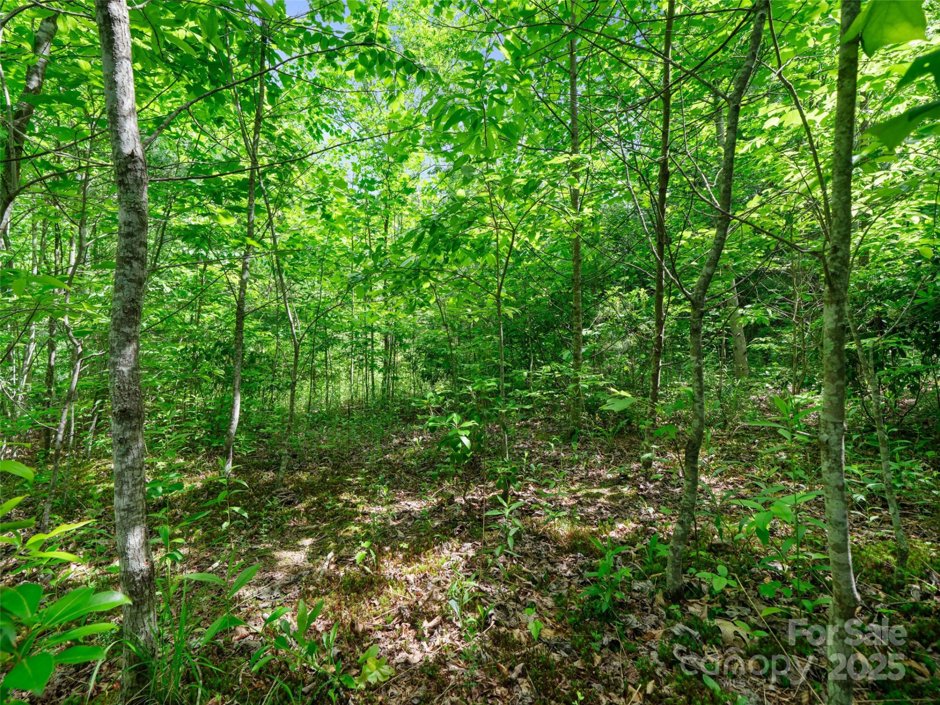 99999 Millbrae Loop #1601 - Photo 17