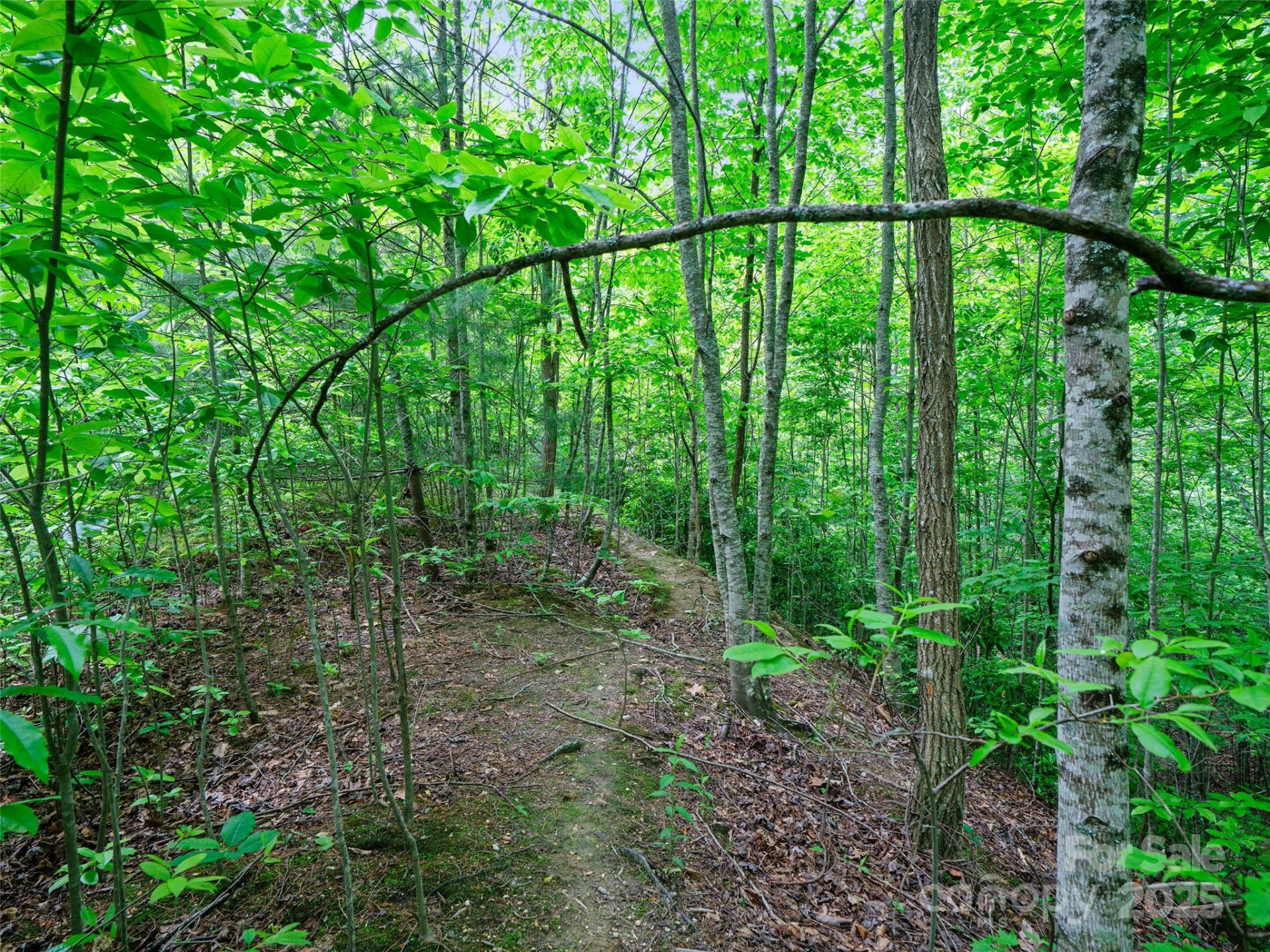 99999 Millbrae Loop #1601 - Photo 18