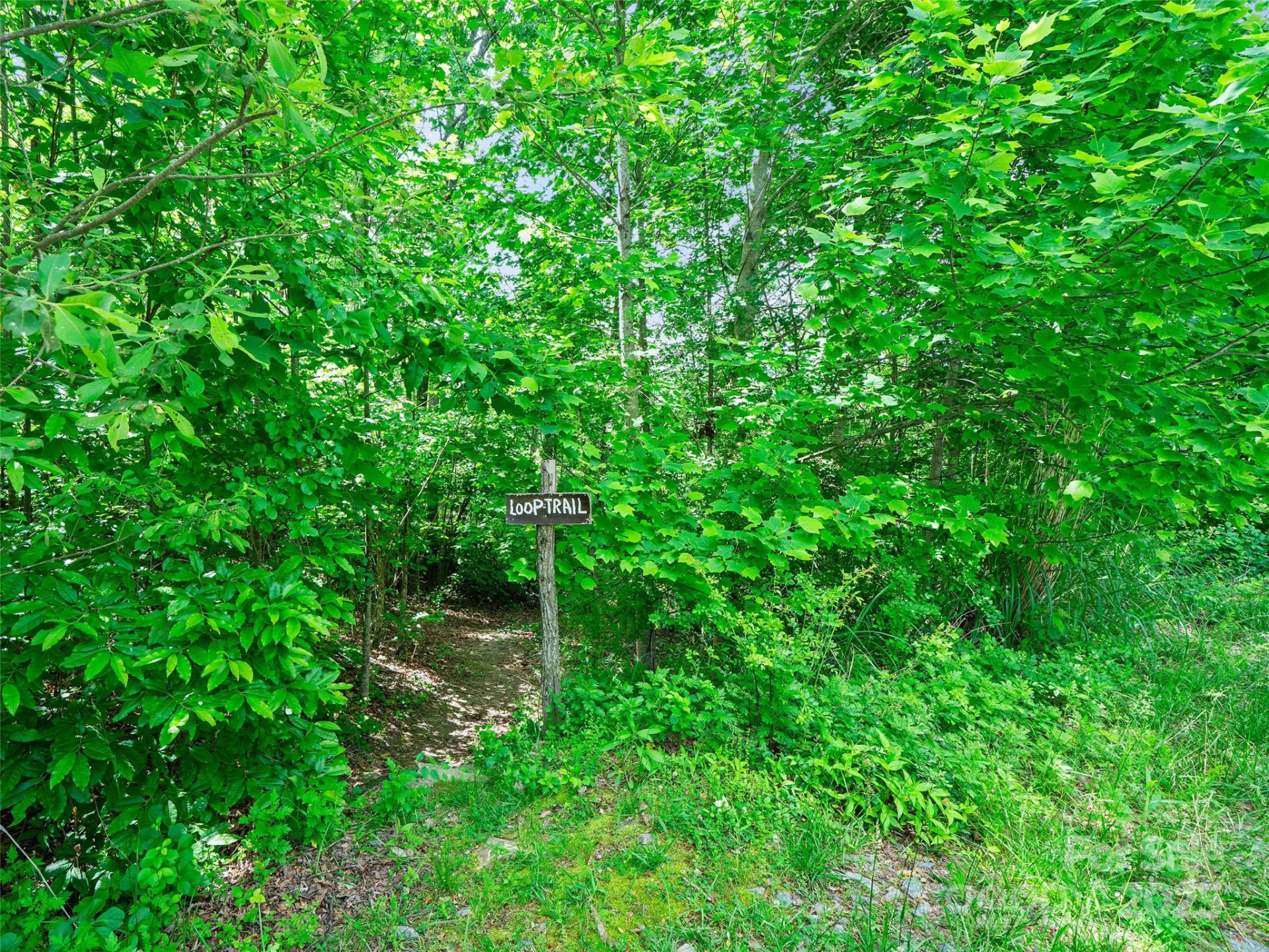 99999 Millbrae Loop #1601 - Photo 31