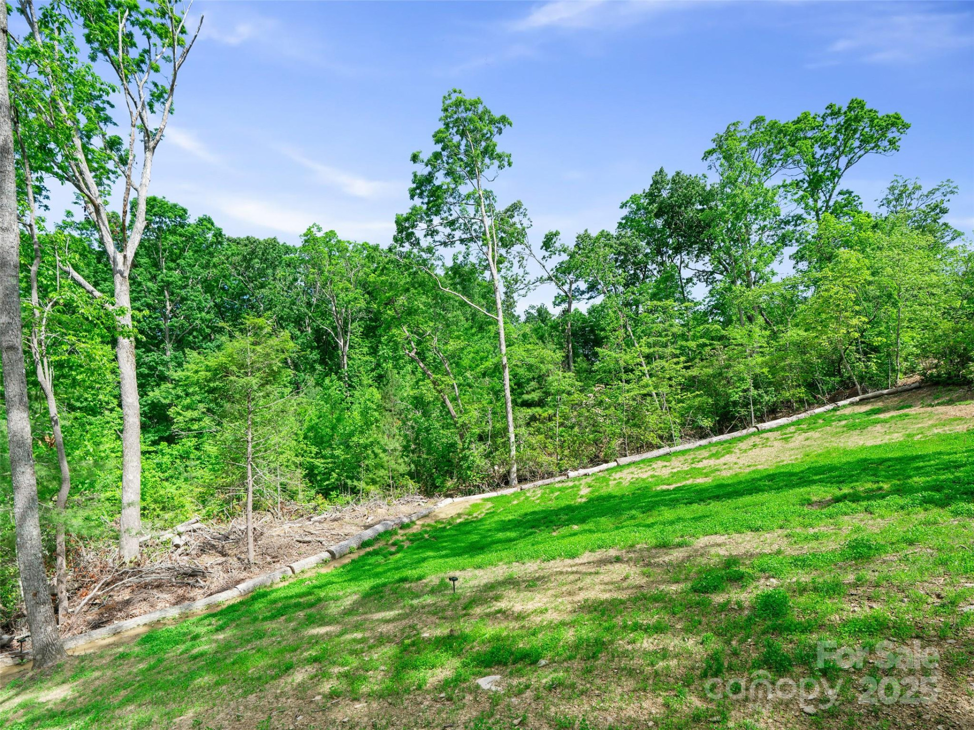 99999 Millbrae Loop #1601 - Photo 5