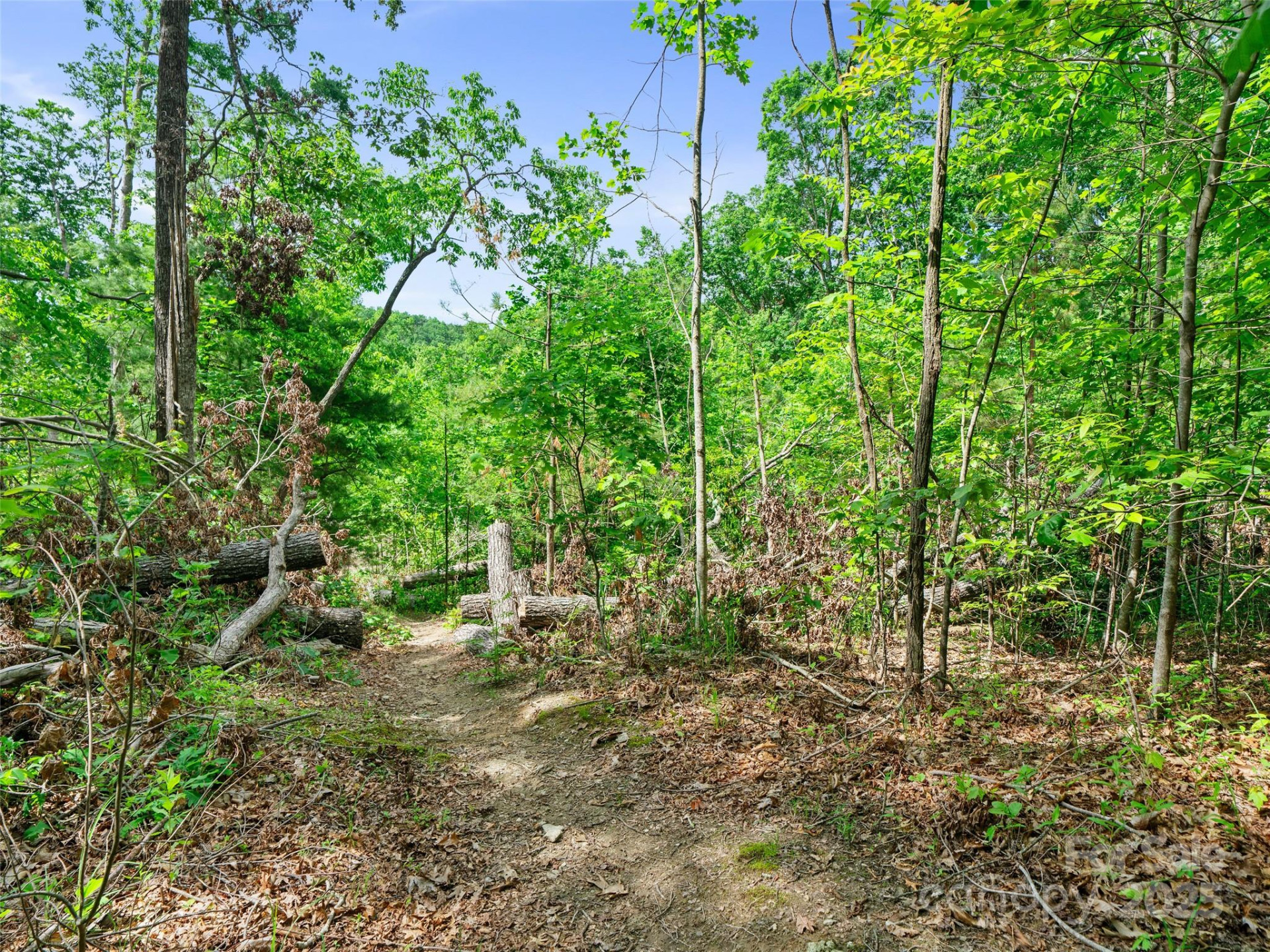 99999 Millbrae Loop #1601 - Photo 10