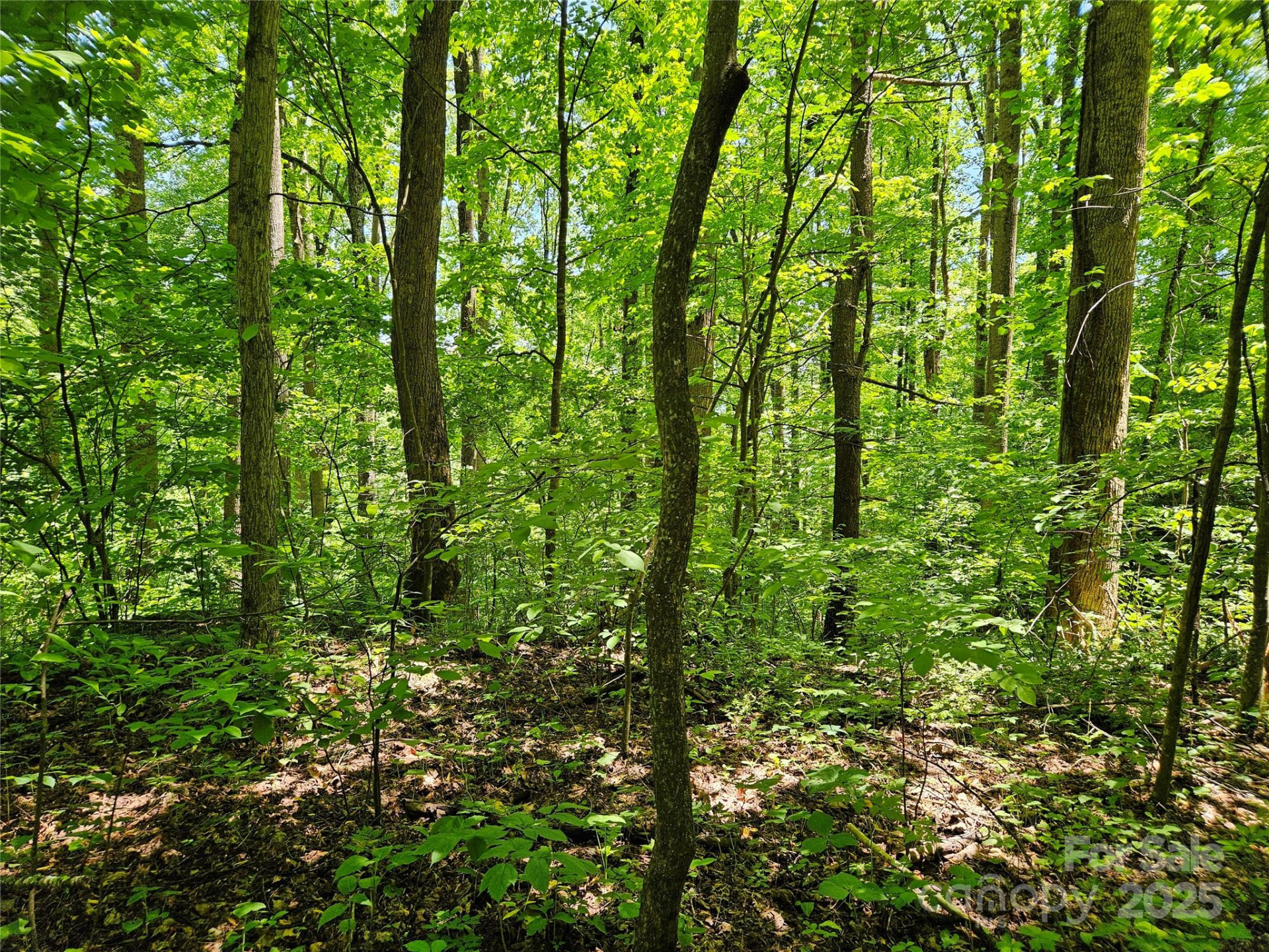 00 Owens Road - Photo 11