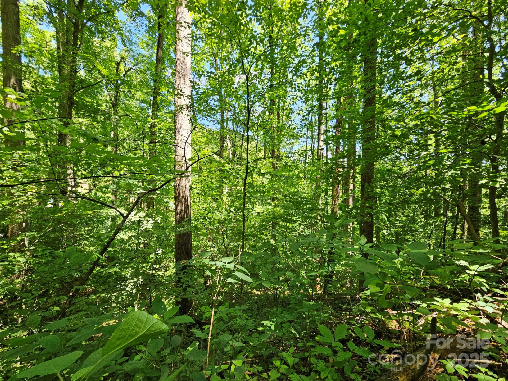 00 Owens Road - Photo 12