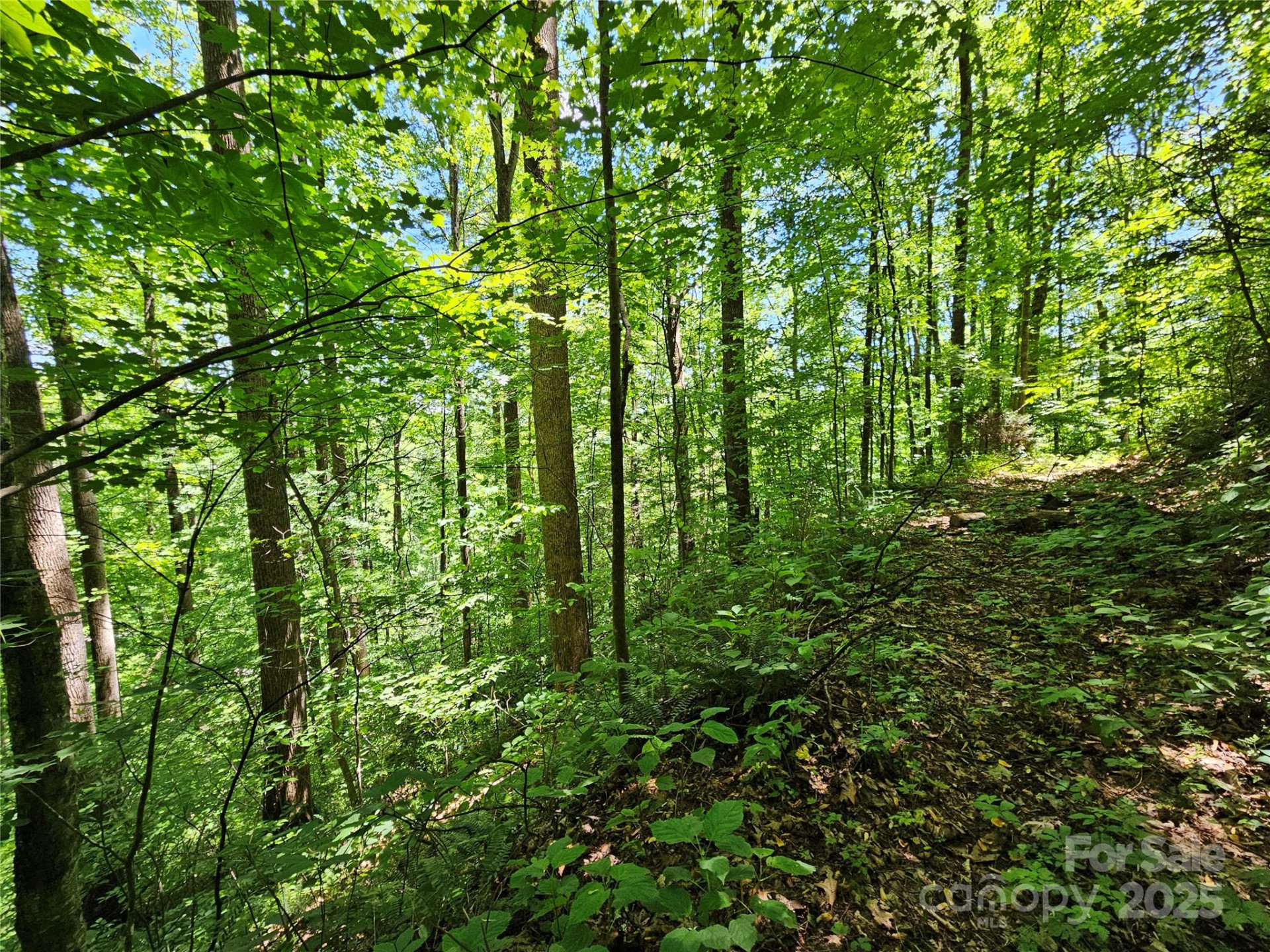 00 Owens Road - Photo 13