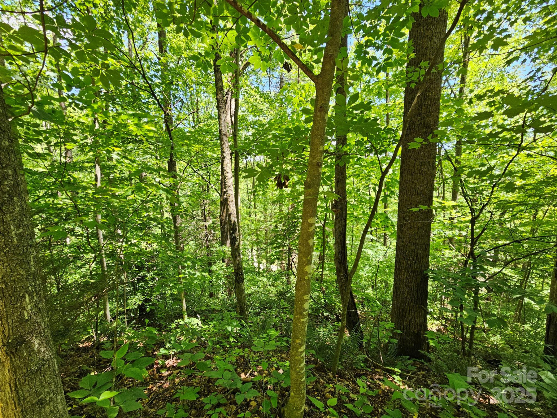 00 Owens Road - Photo 15