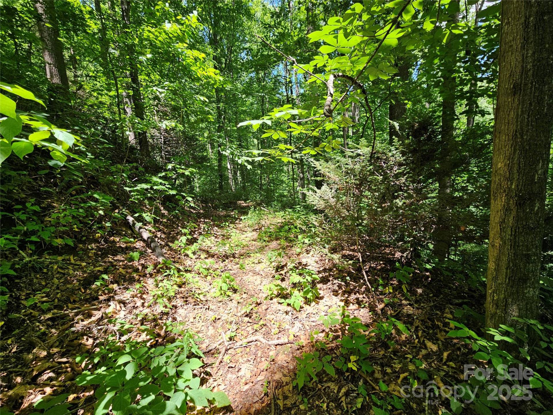 00 Owens Road - Photo 16