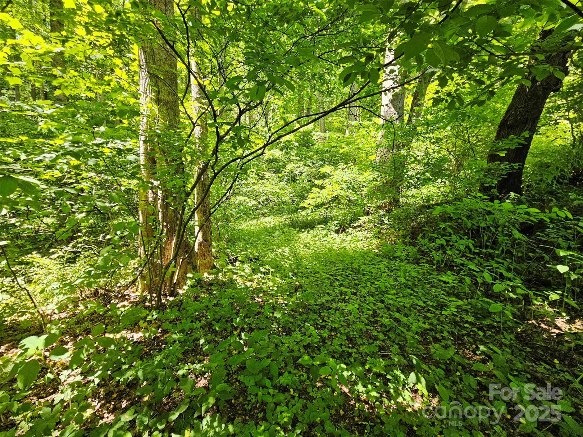 00 Owens Road - Photo 3