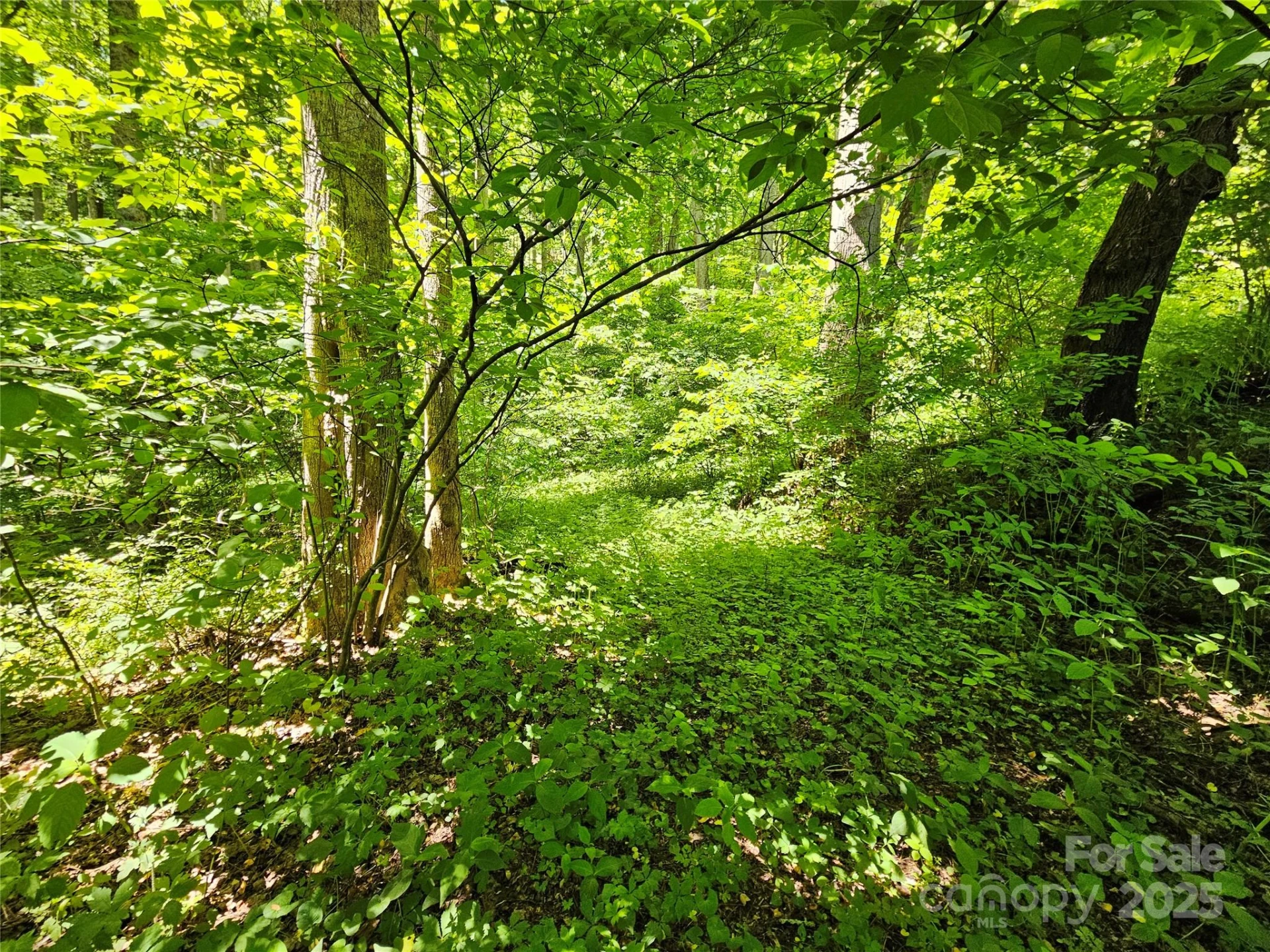 00 Owens Road - Photo 3