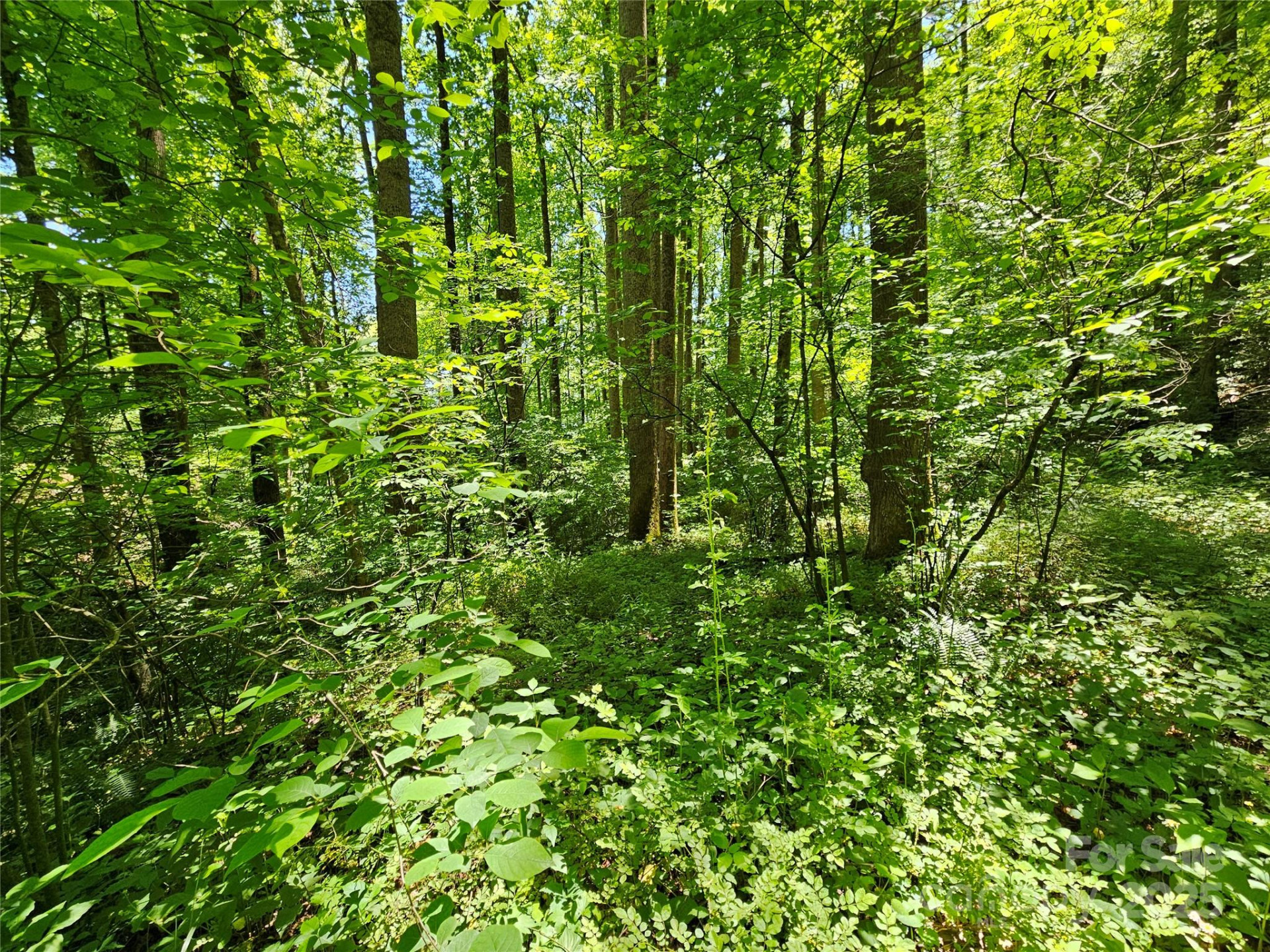 00 Owens Road - Photo 4