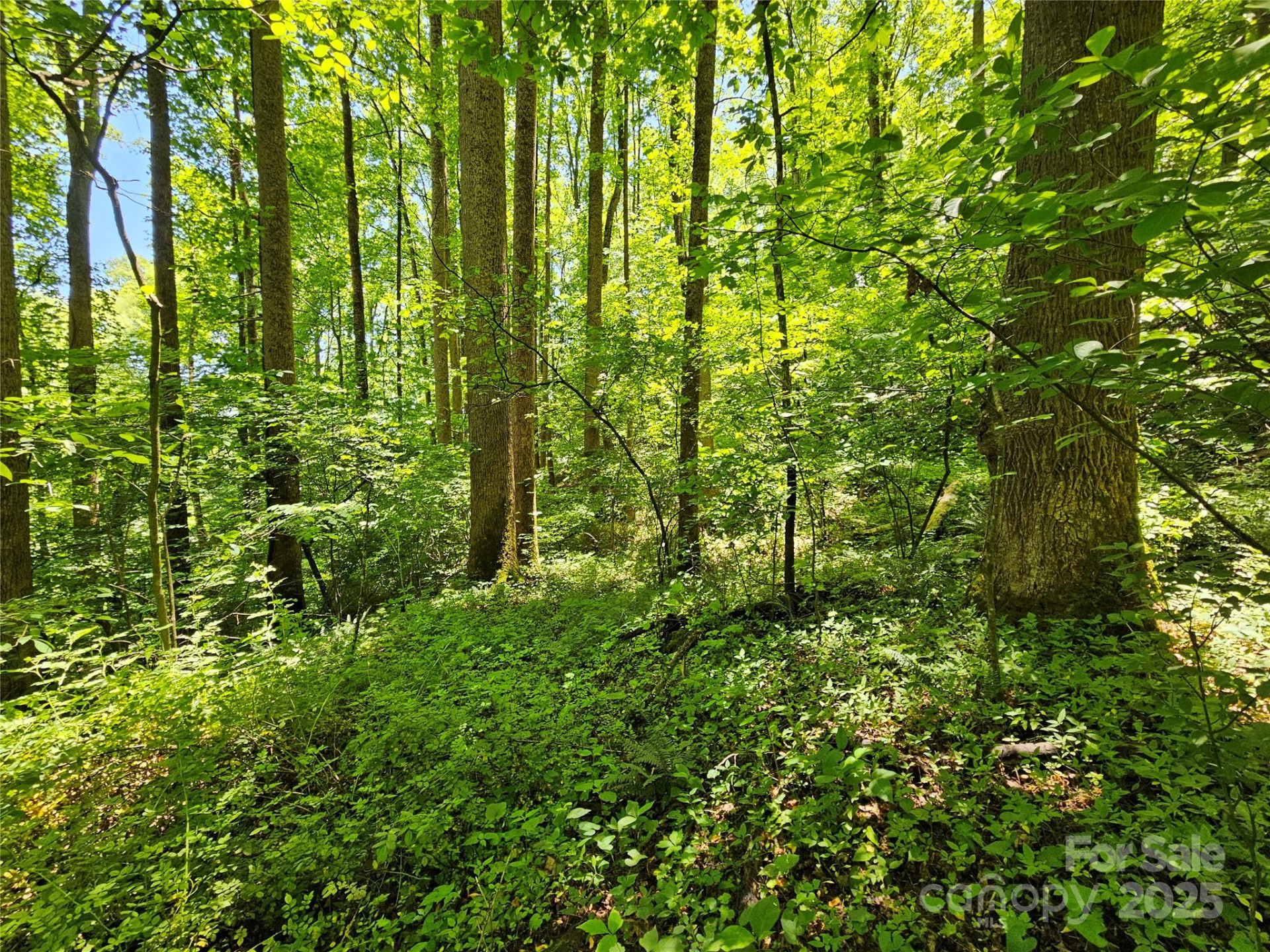 00 Owens Road - Photo 5