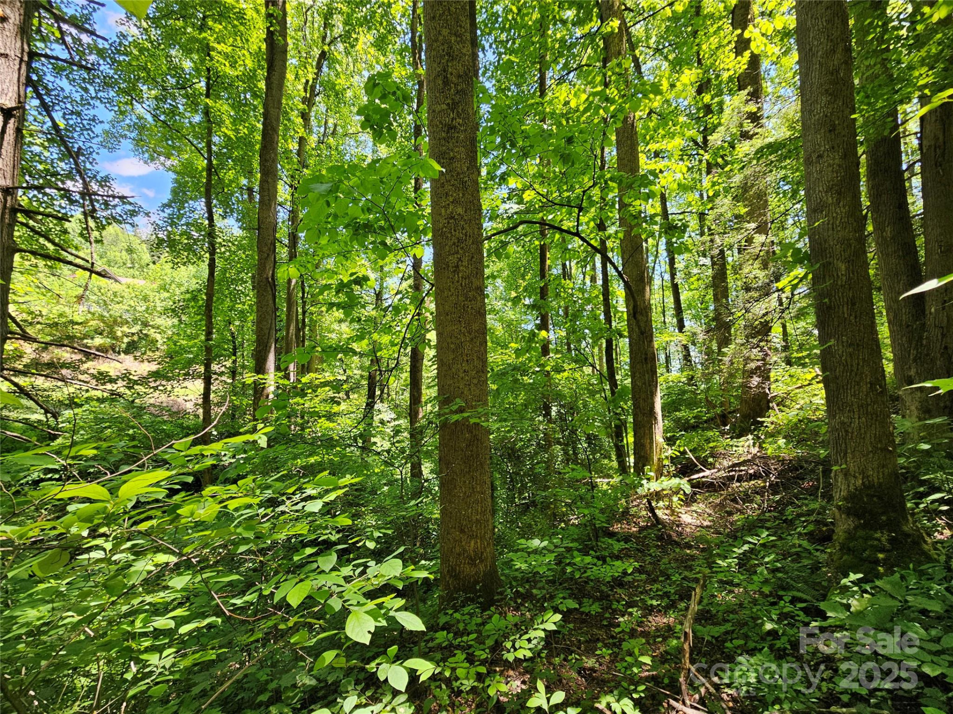 00 Owens Road - Photo 6