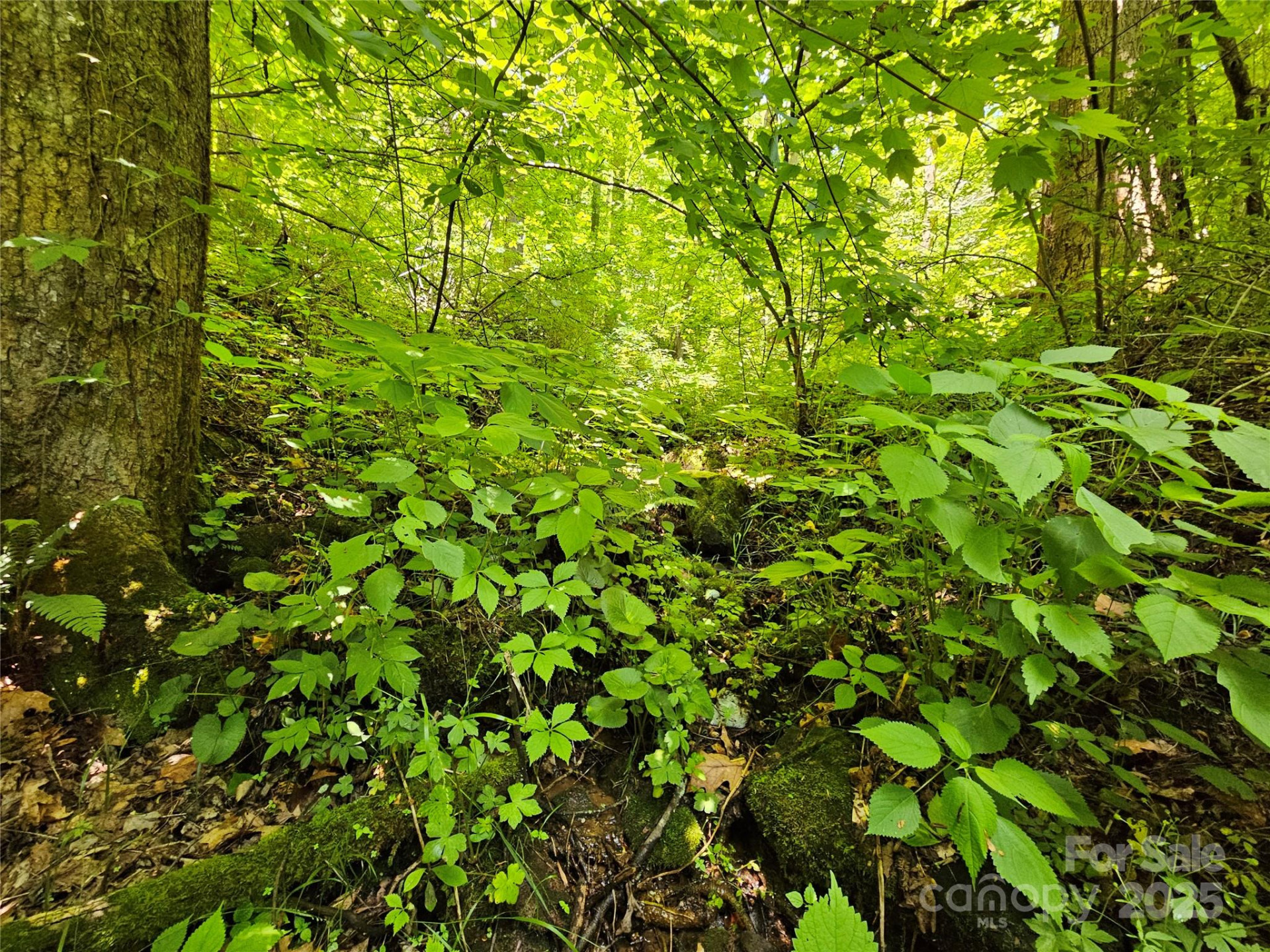 00 Owens Road - Photo 7