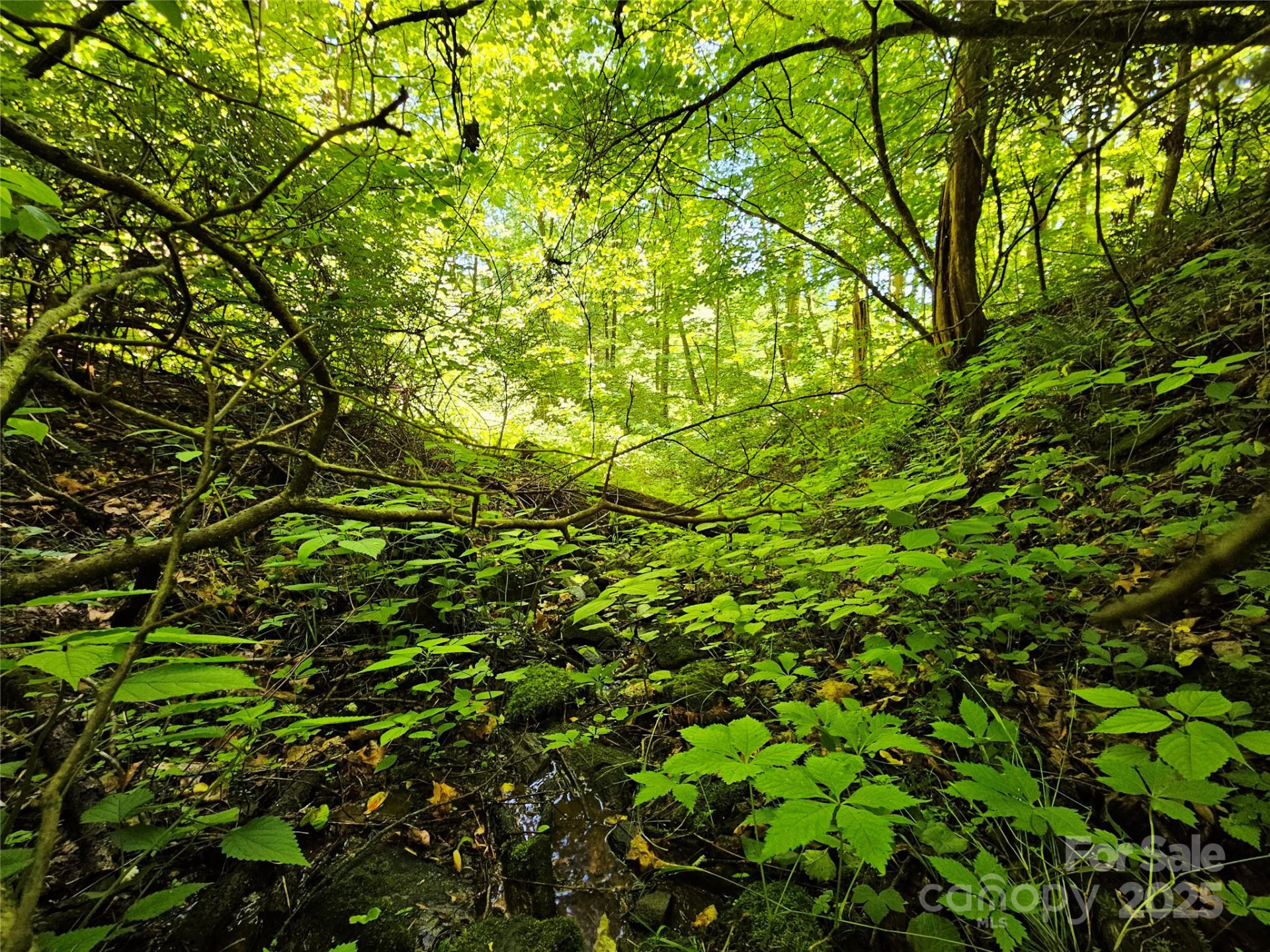 00 Owens Road - Photo 8