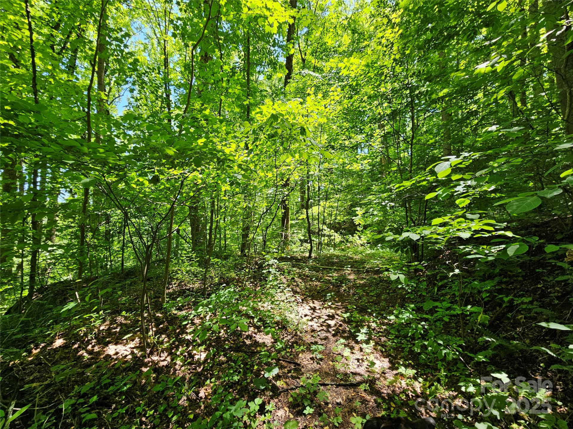 00 Owens Road - Photo 9