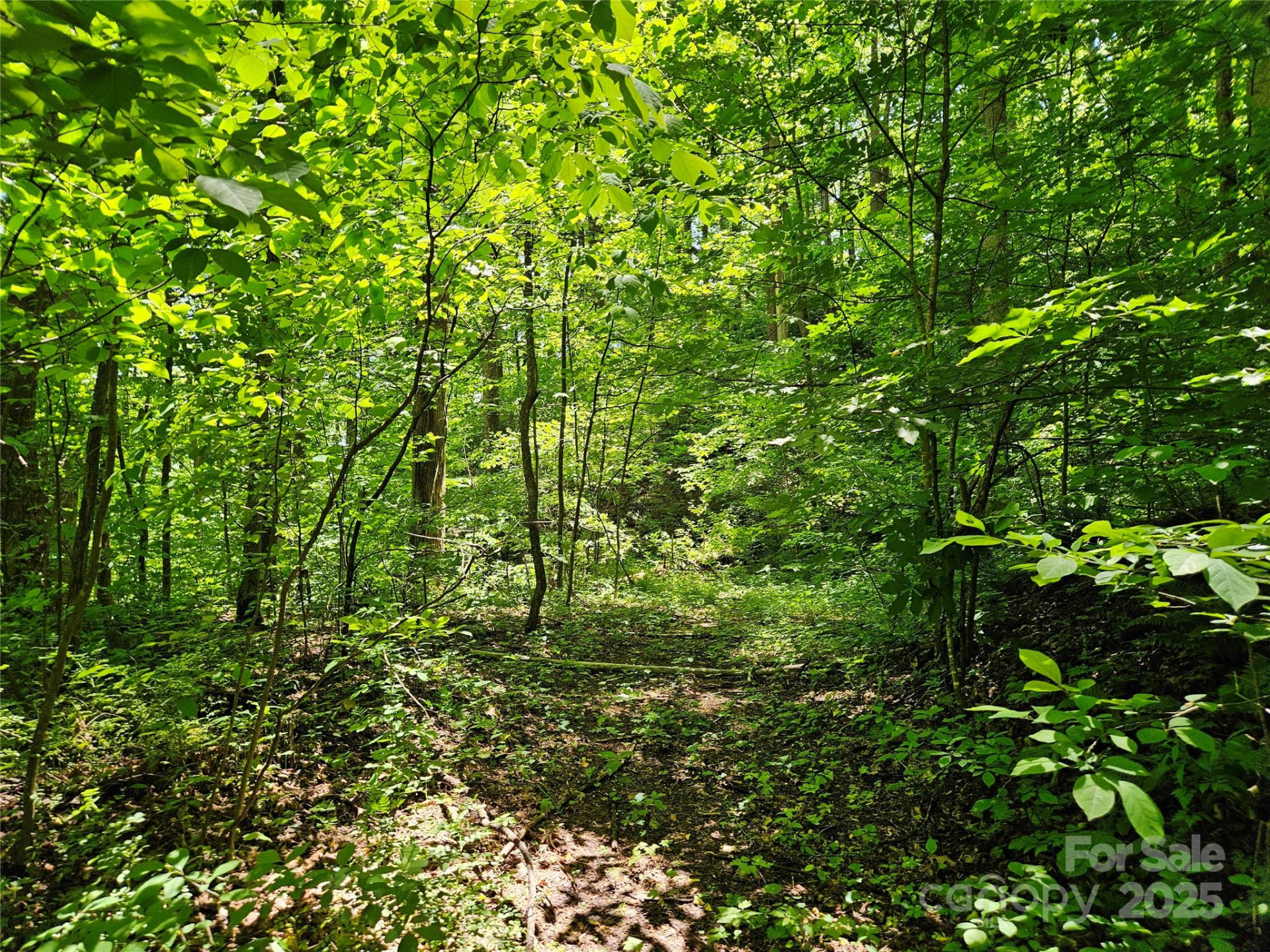 00 Owens Road - Photo 10