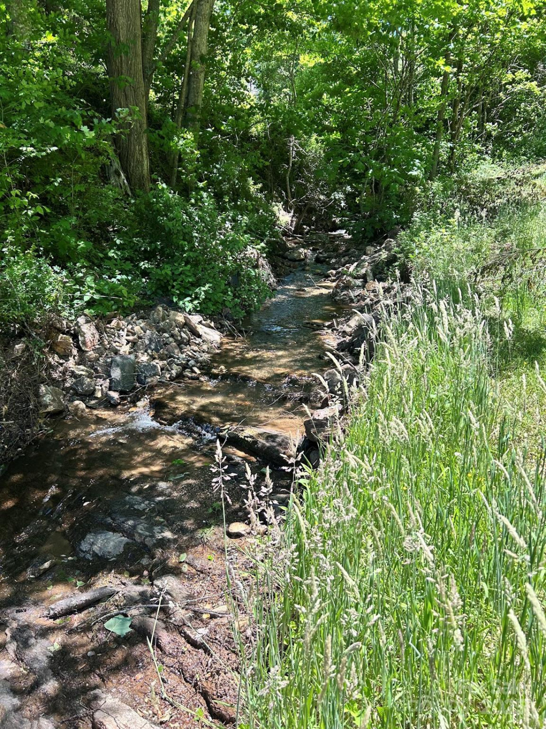 611 Johnson Hollow Road - Photo 26