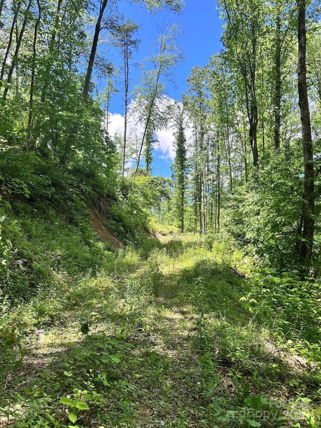 611 Johnson Hollow Road - Photo 28