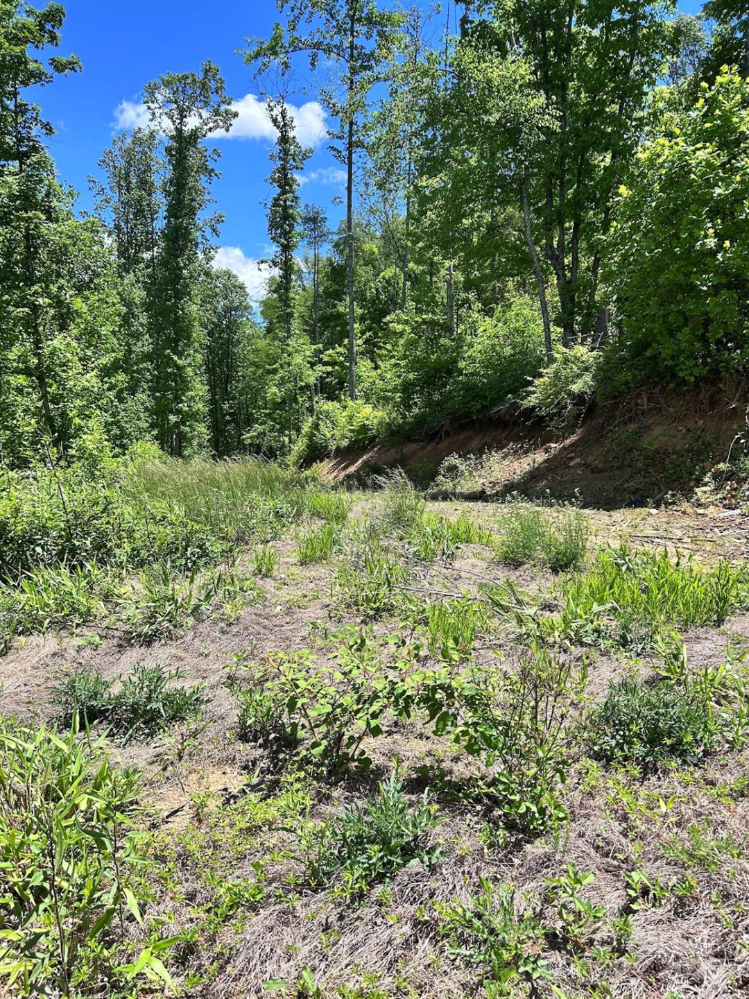 611 Johnson Hollow Road - Photo 29