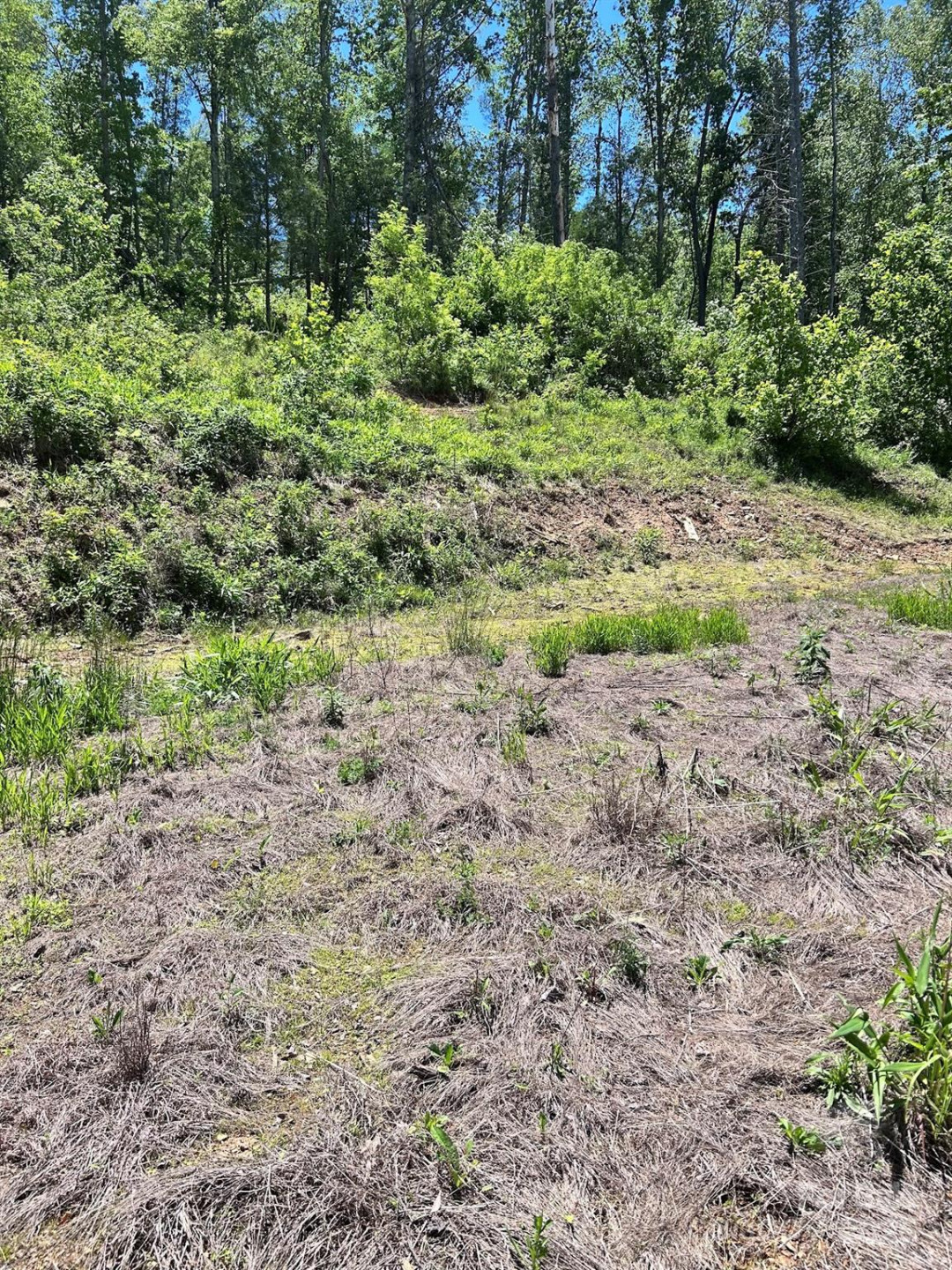 611 Johnson Hollow Road - Photo 30