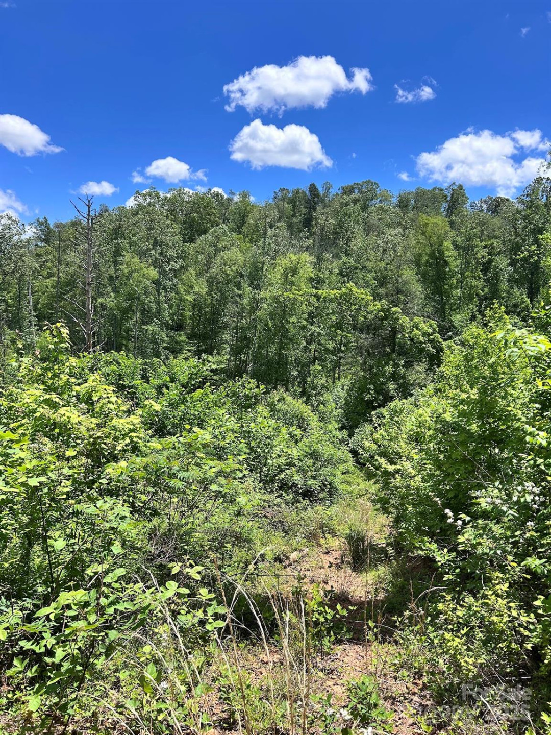 611 Johnson Hollow Road - Photo 33