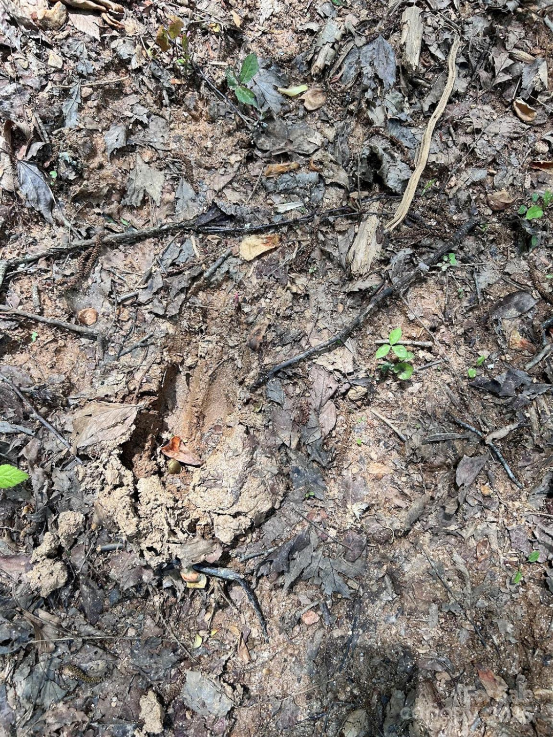 611 Johnson Hollow Road - Photo 35