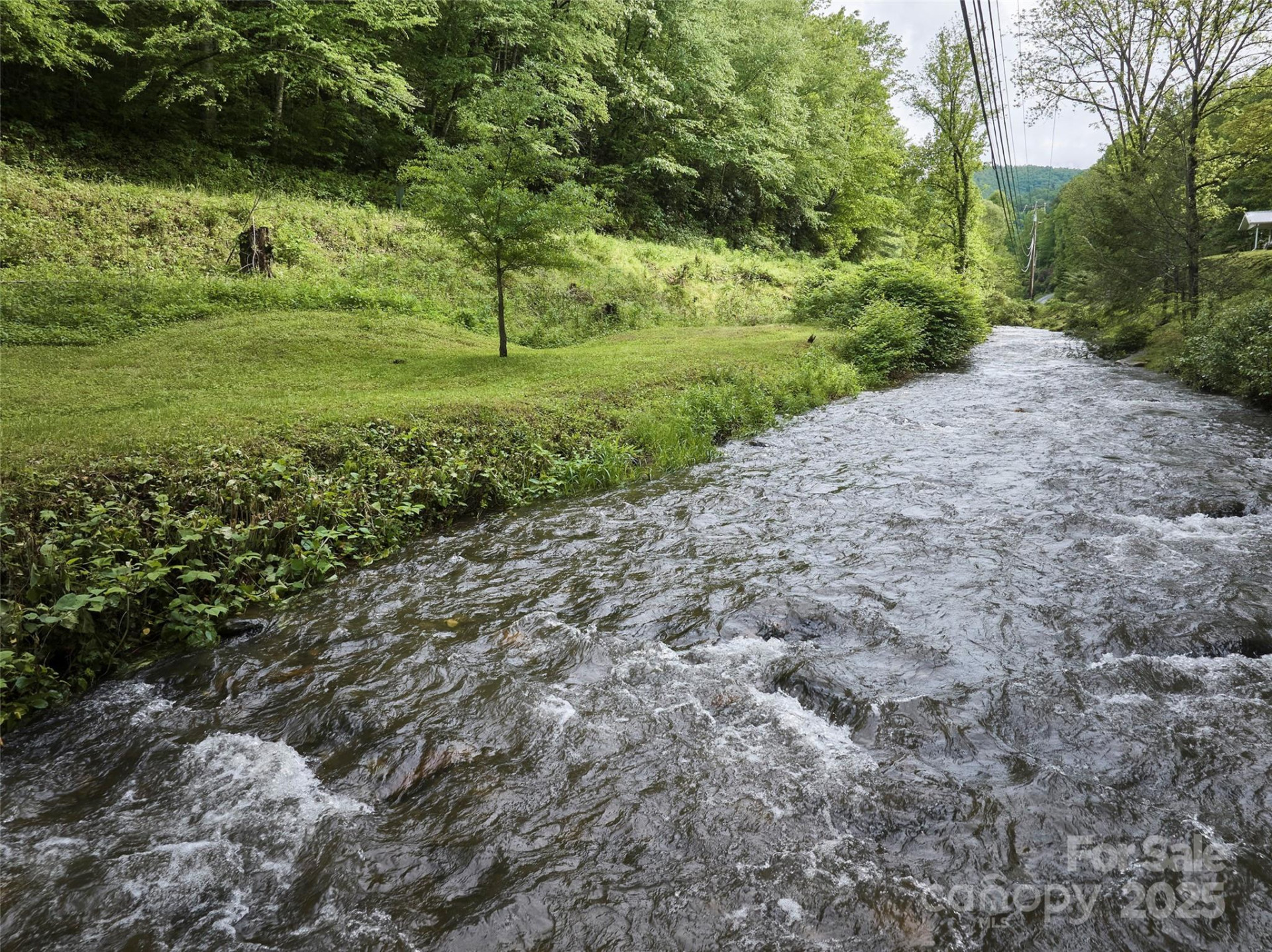 210 Conleys Creek Road - Photo 2