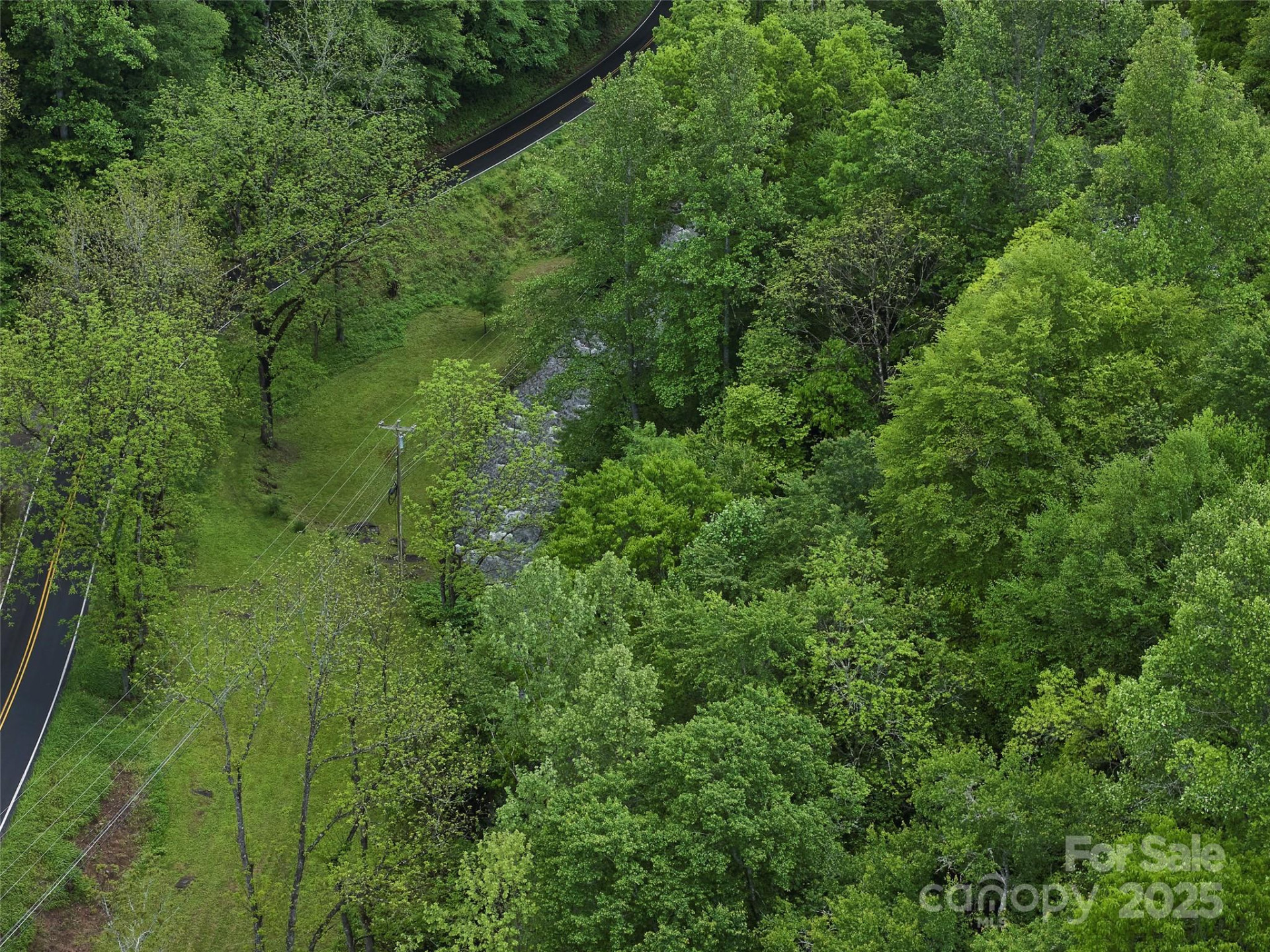 210 Conleys Creek Road - Photo 12