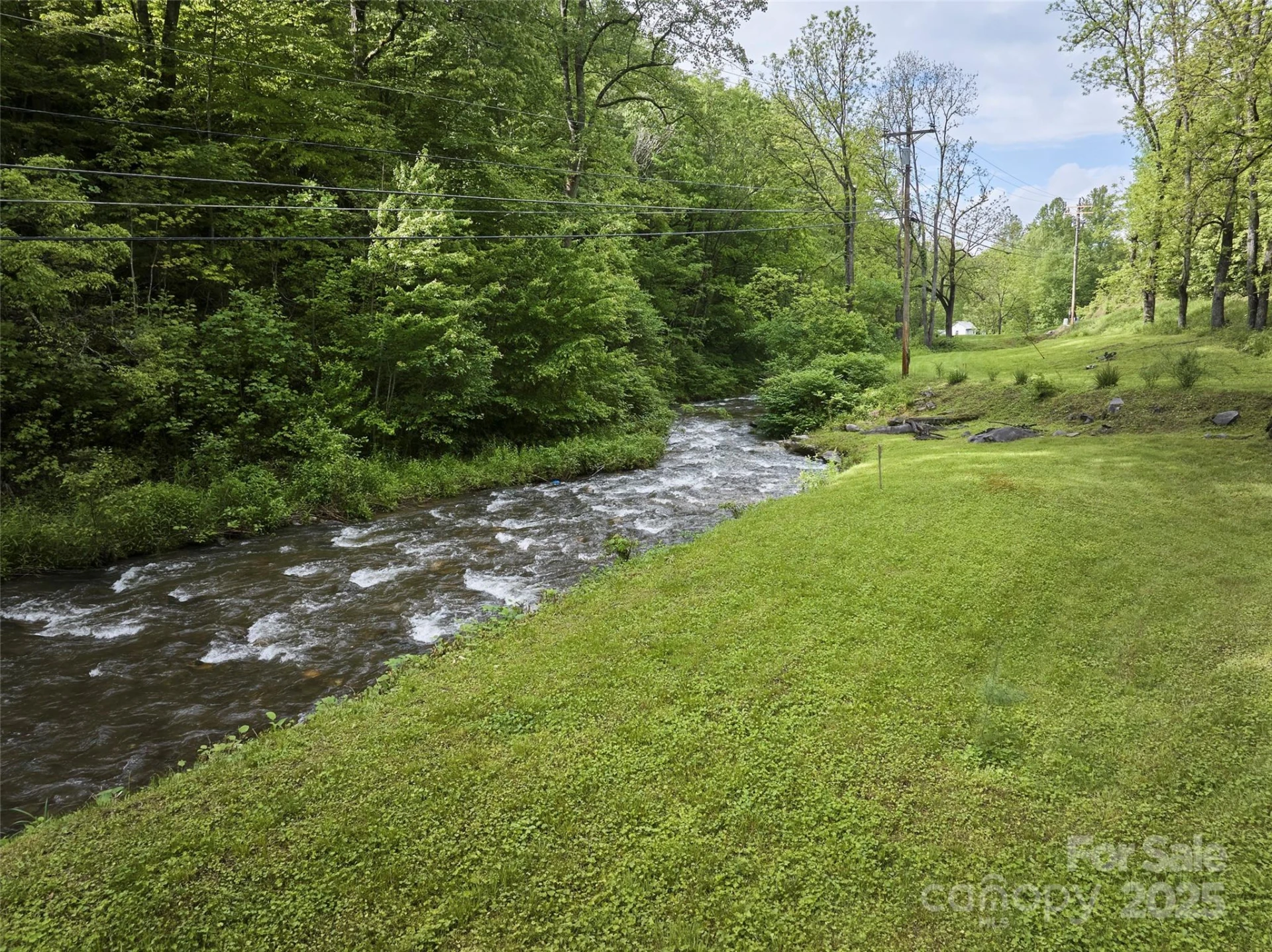 210 Conleys Creek Road - Photo 13