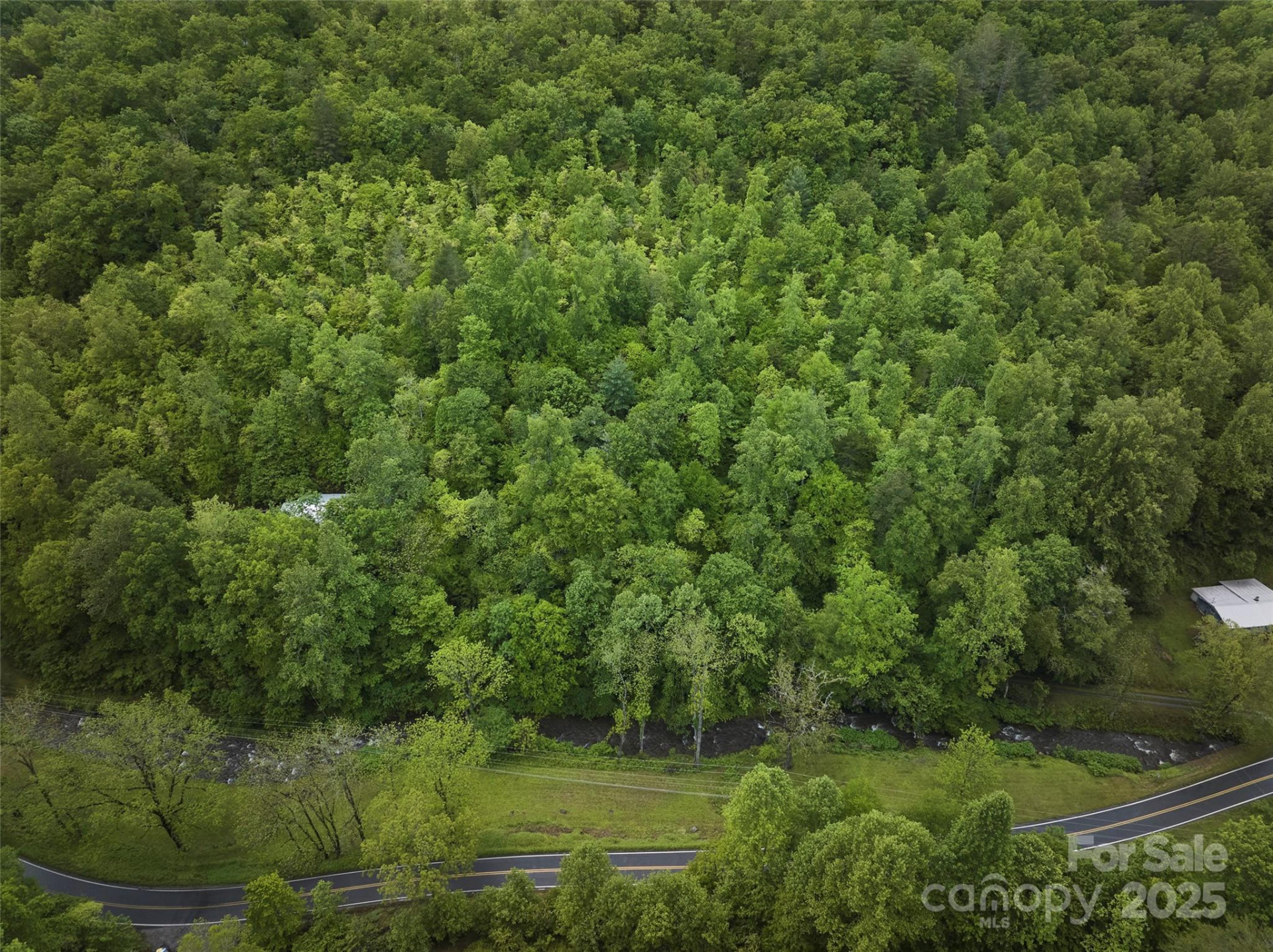 210 Conleys Creek Road - Photo 14