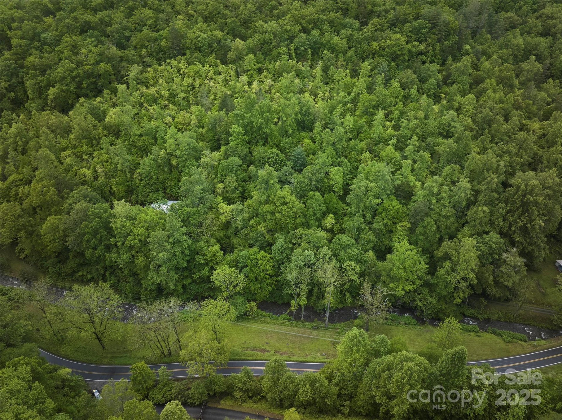 210 Conleys Creek Road - Photo 15