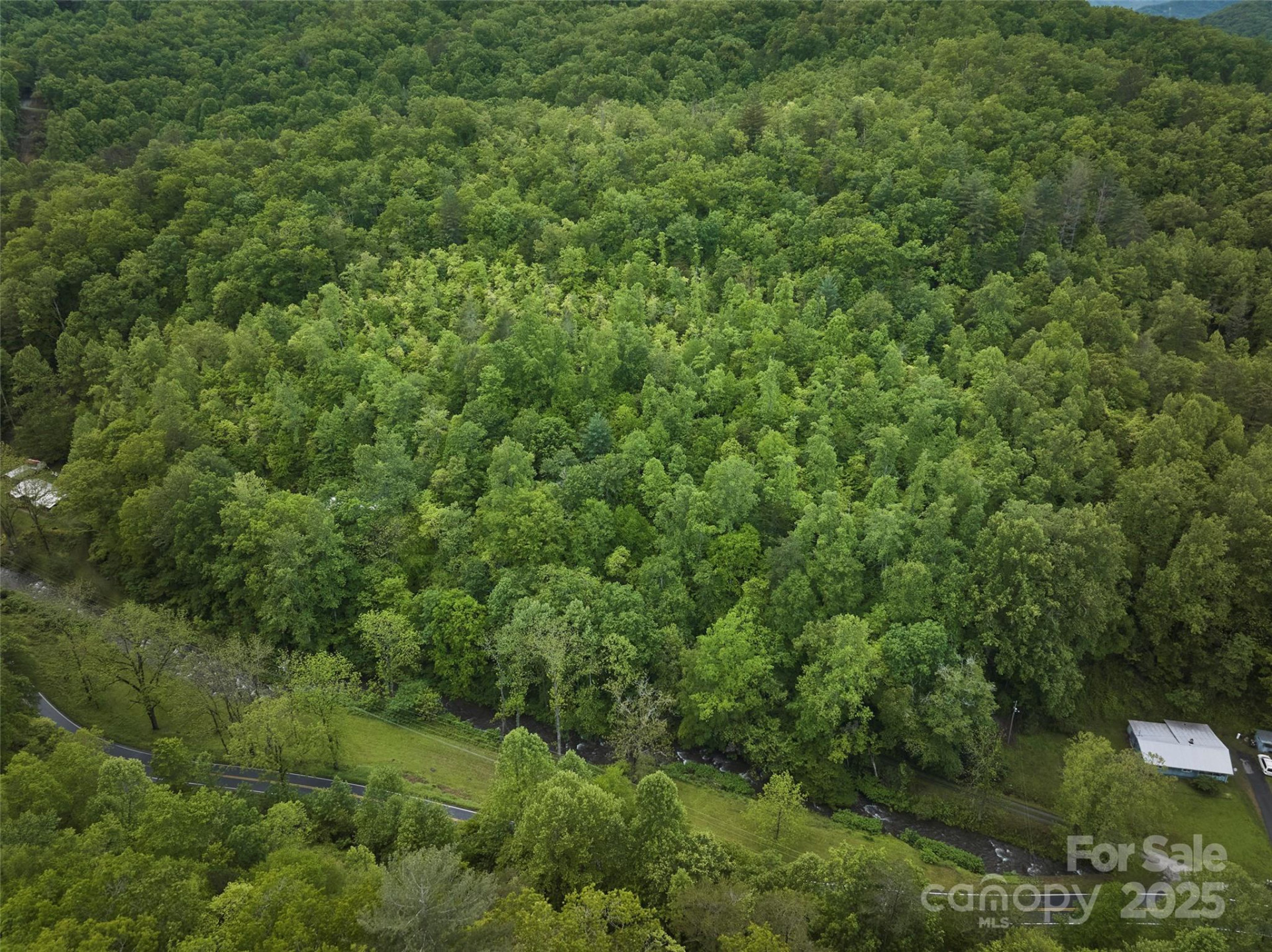 210 Conleys Creek Road - Photo 17