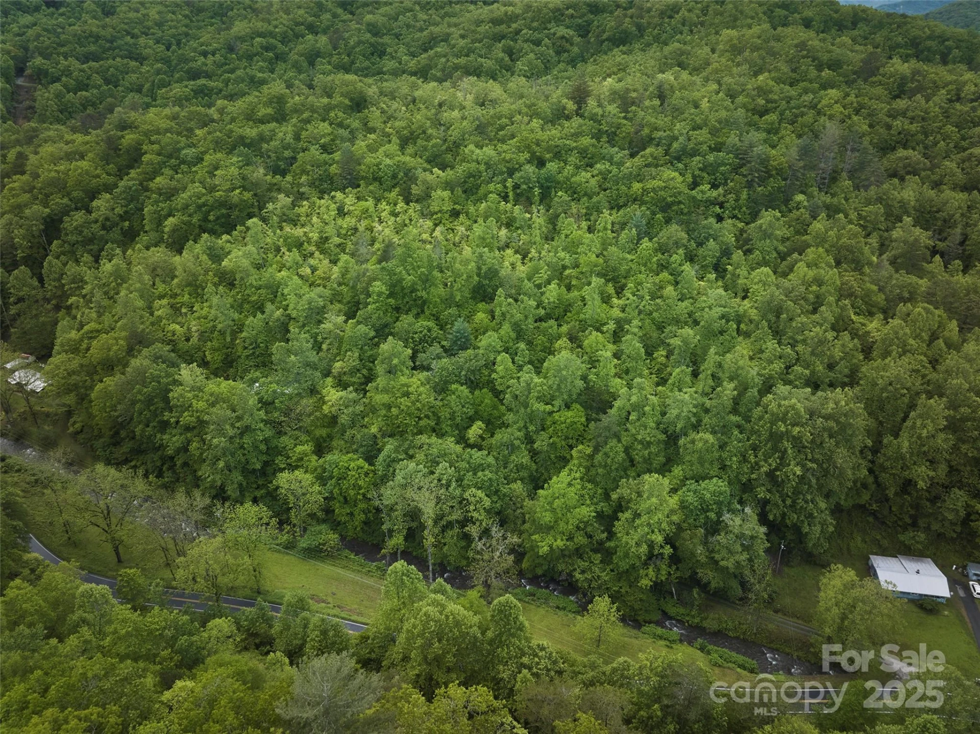 210 Conleys Creek Road - Photo 17