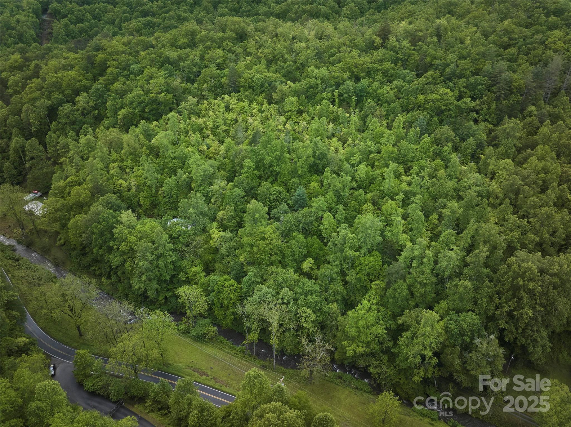 210 Conleys Creek Road - Photo 18