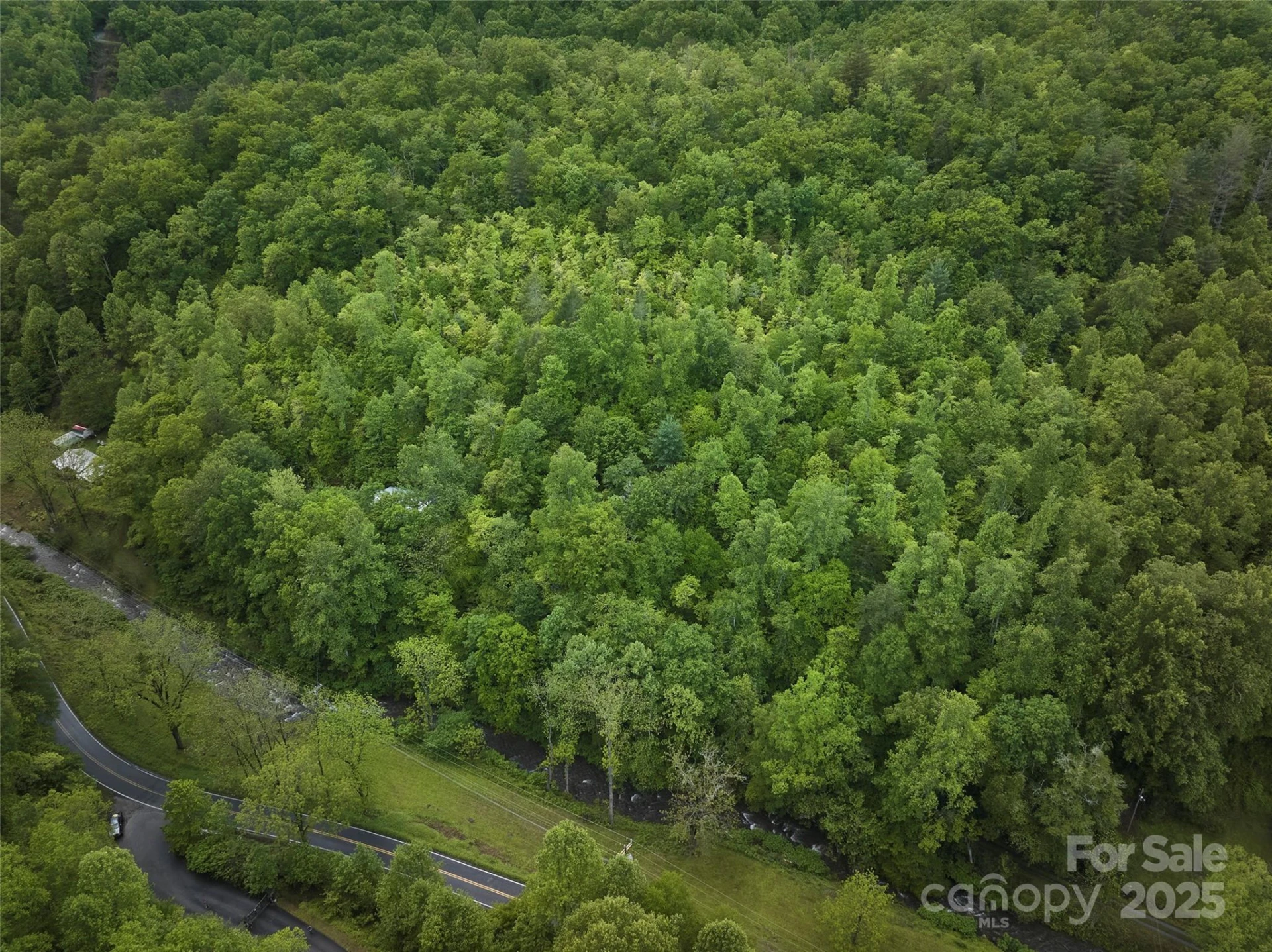 210 Conleys Creek Road - Photo 18